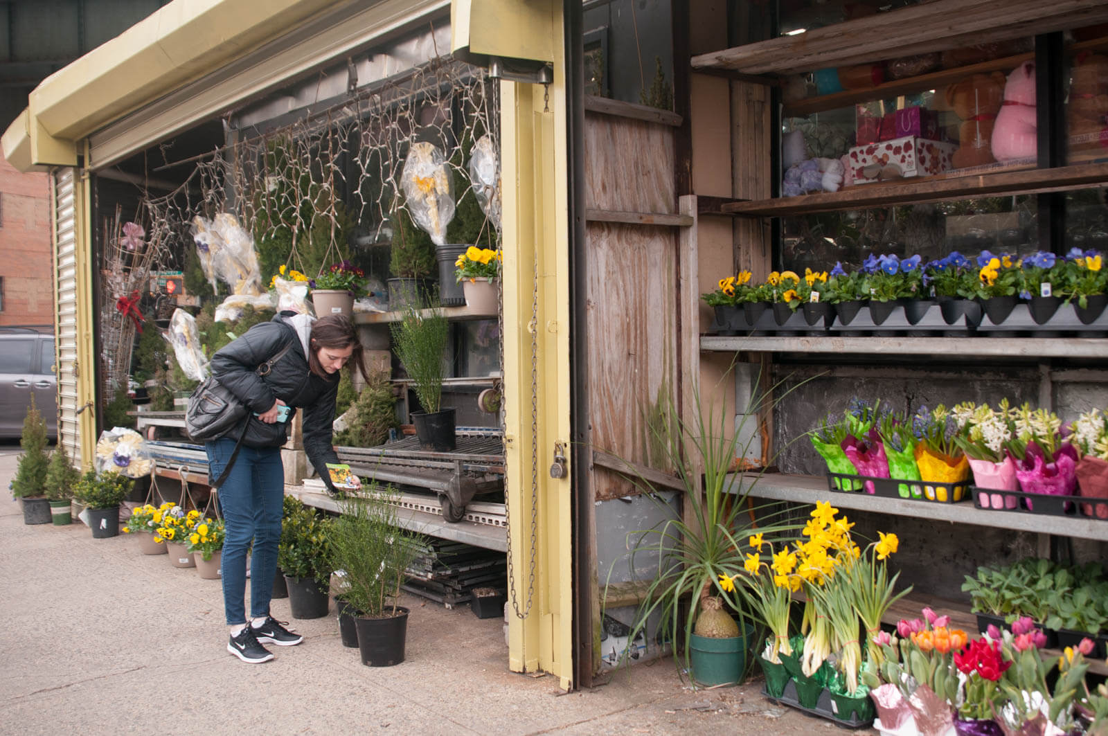 South Williamsburg Brooklyn Flowers Spring 2016