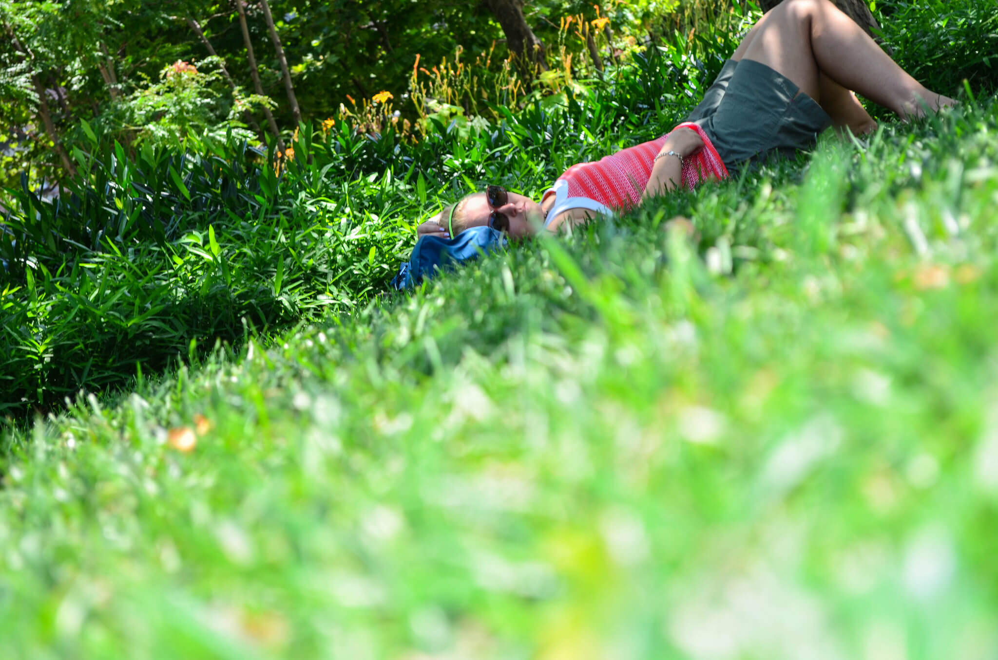 Artificial Grass Vs Real Grass Which Is Better