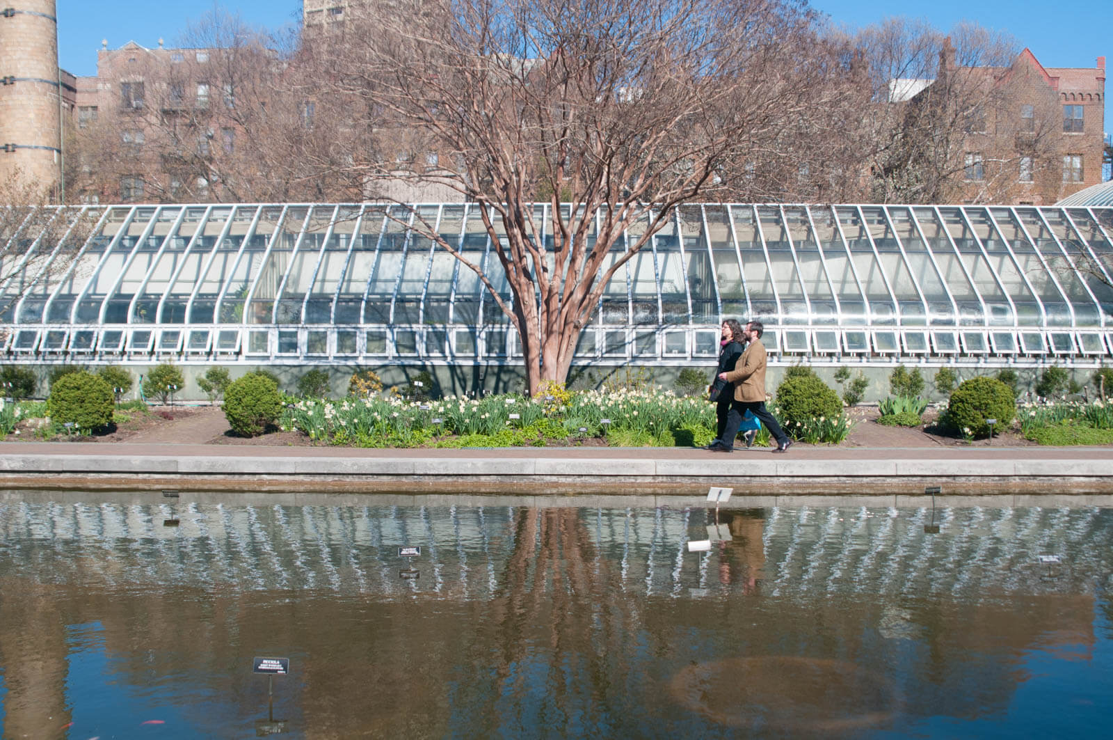 Brooklyn Botanic Garden Spring 2016