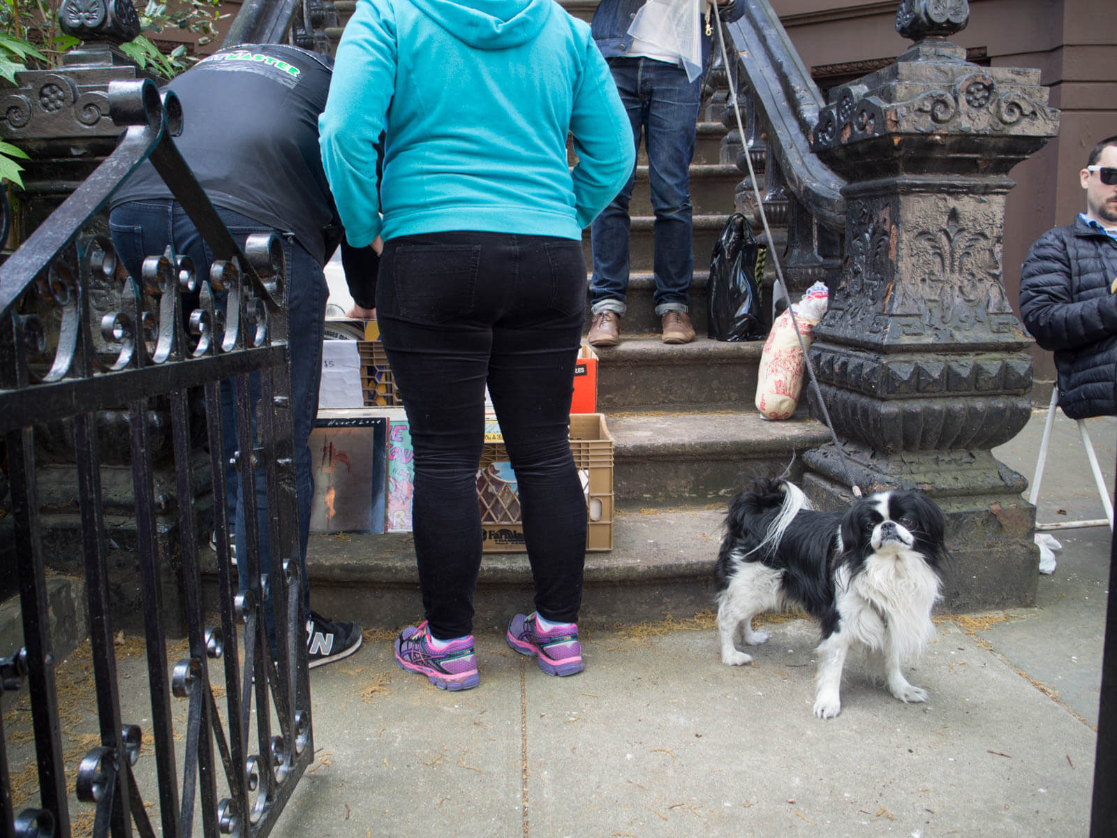 Park Slope Brooklyn Stoop Sale Dog