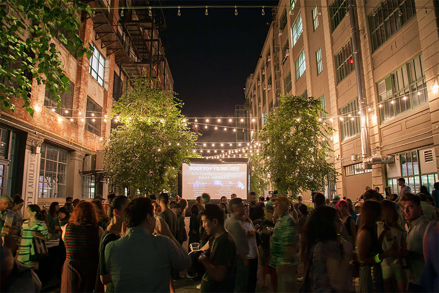 rooftop films brooklyn