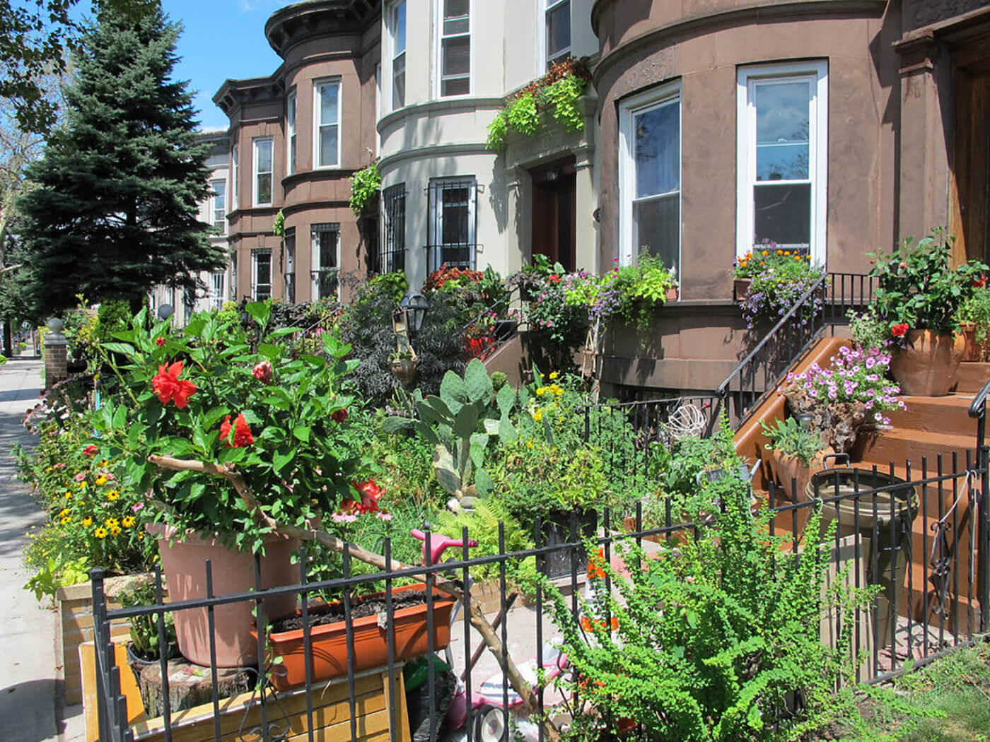 Greenest Block in Brooklyn 2016 Flatbush East 25th Street Clarendon Road Avenue D