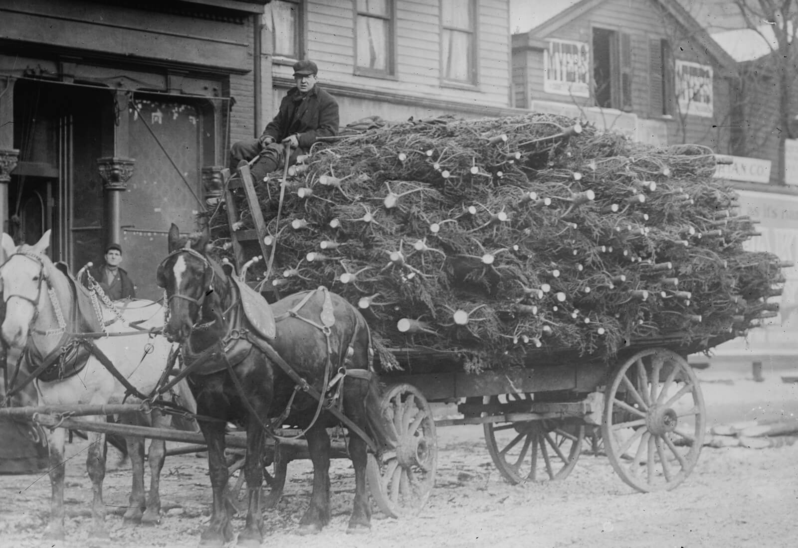 How to Buy a Christmas Tree in 19th Century Brooklyn | Brownstoner