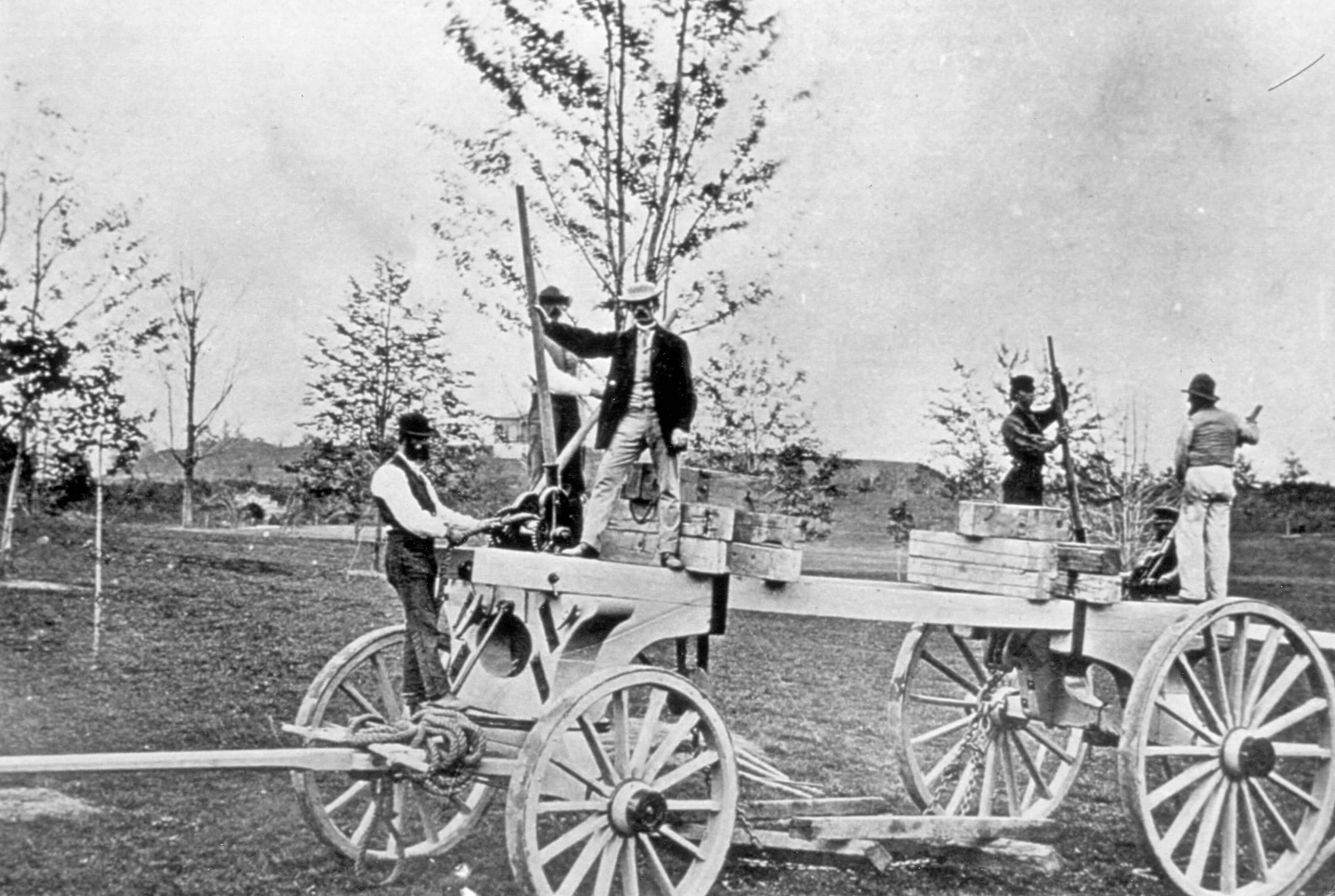 vintage brooklyn prospect park trees 1867