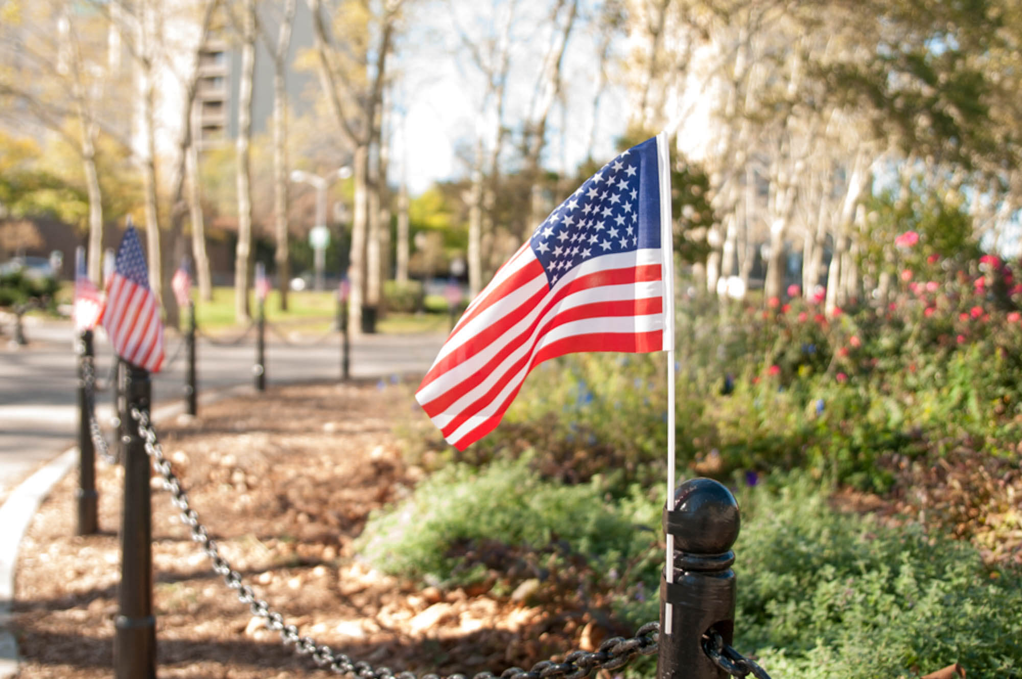 memorial day brooklyn decoration day history