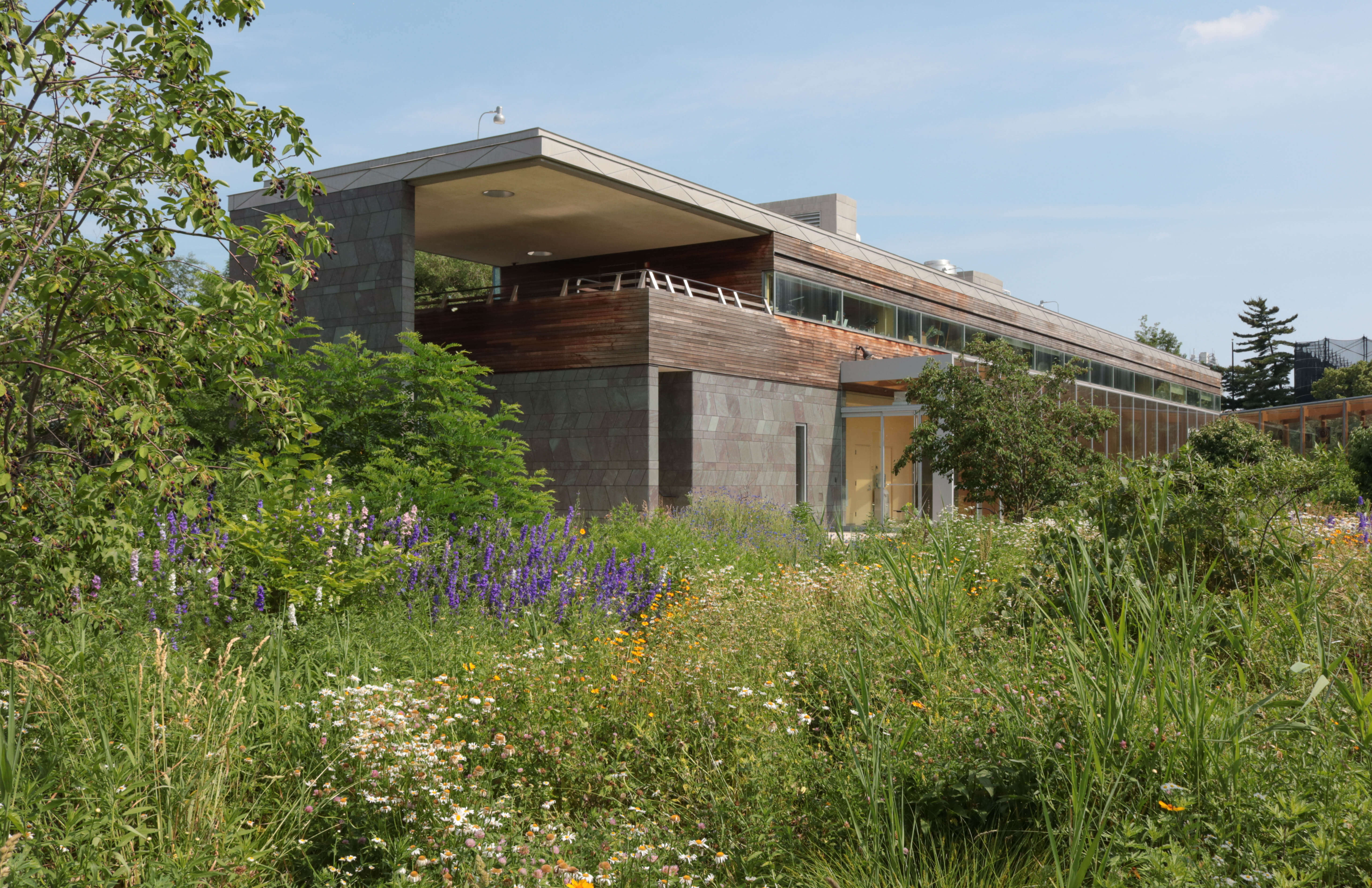 weeksville brooklyn historic fashion clothing