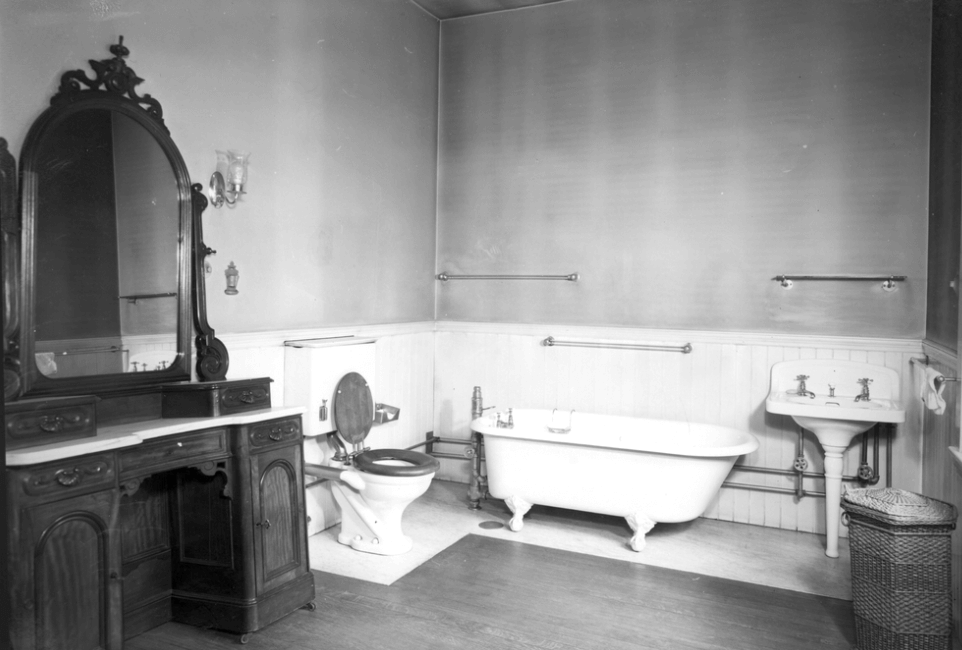 wood floor in bathroom toilet