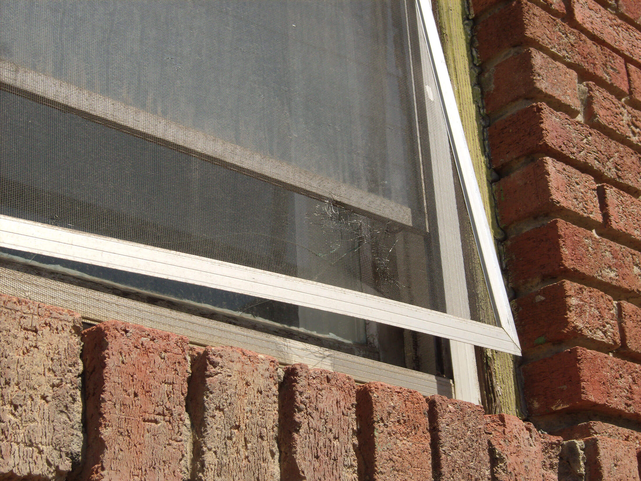 torn window screen repair or replace