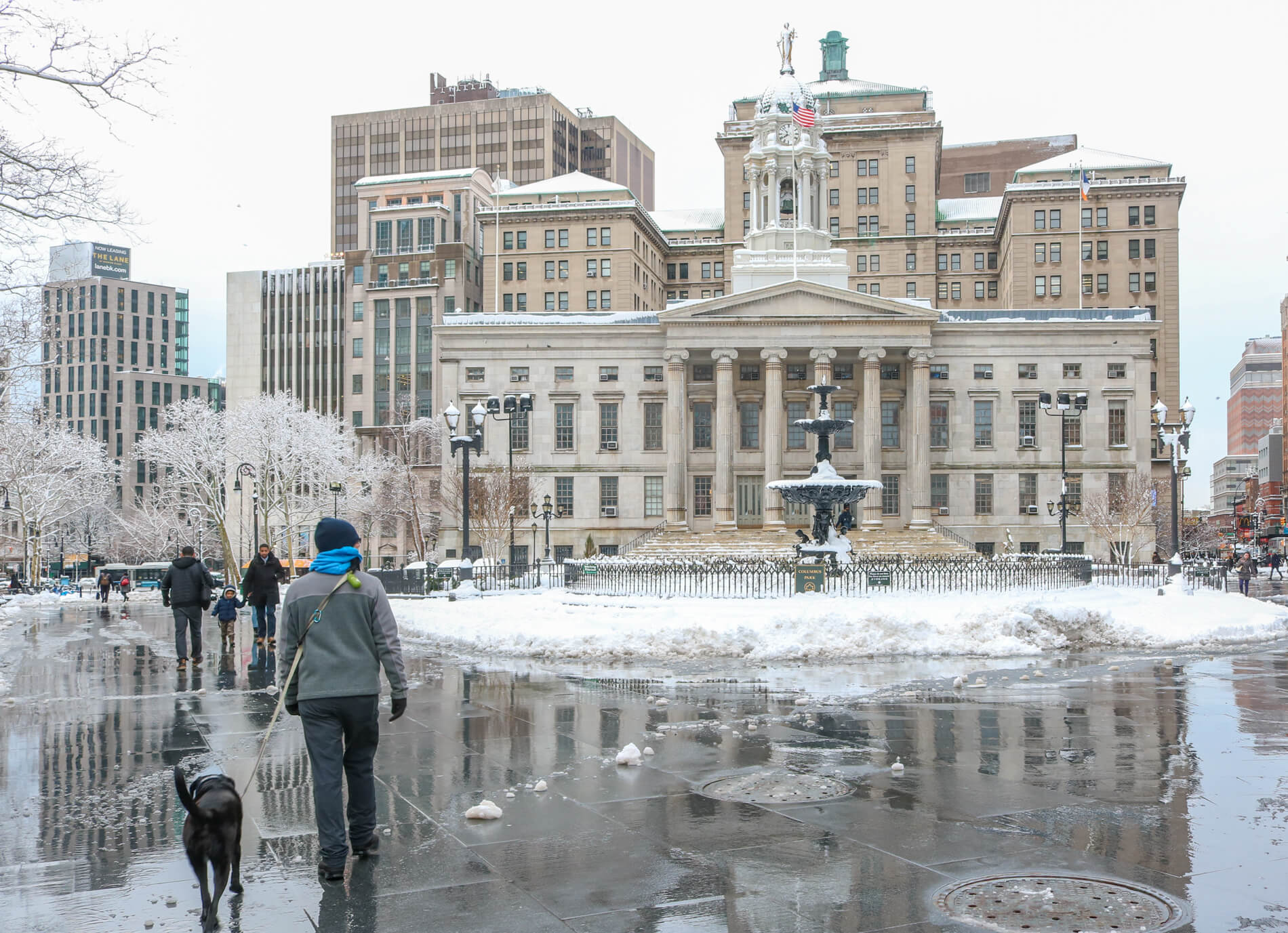 borough hall downtown brooklyn snow links