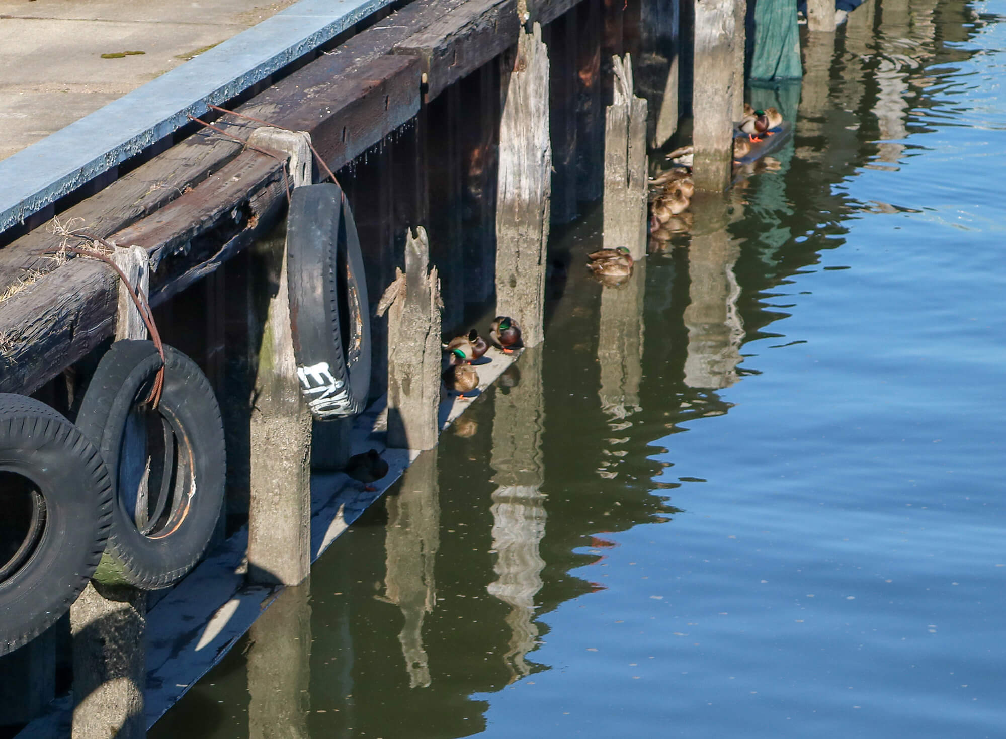 gowanus canal brooklyn