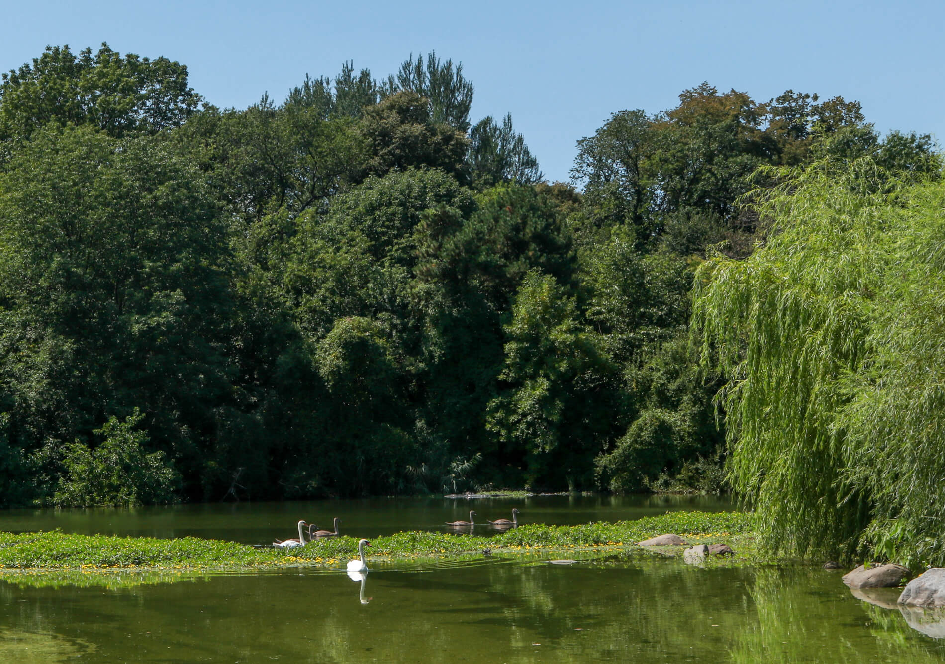 prospect park events urban archive hunt