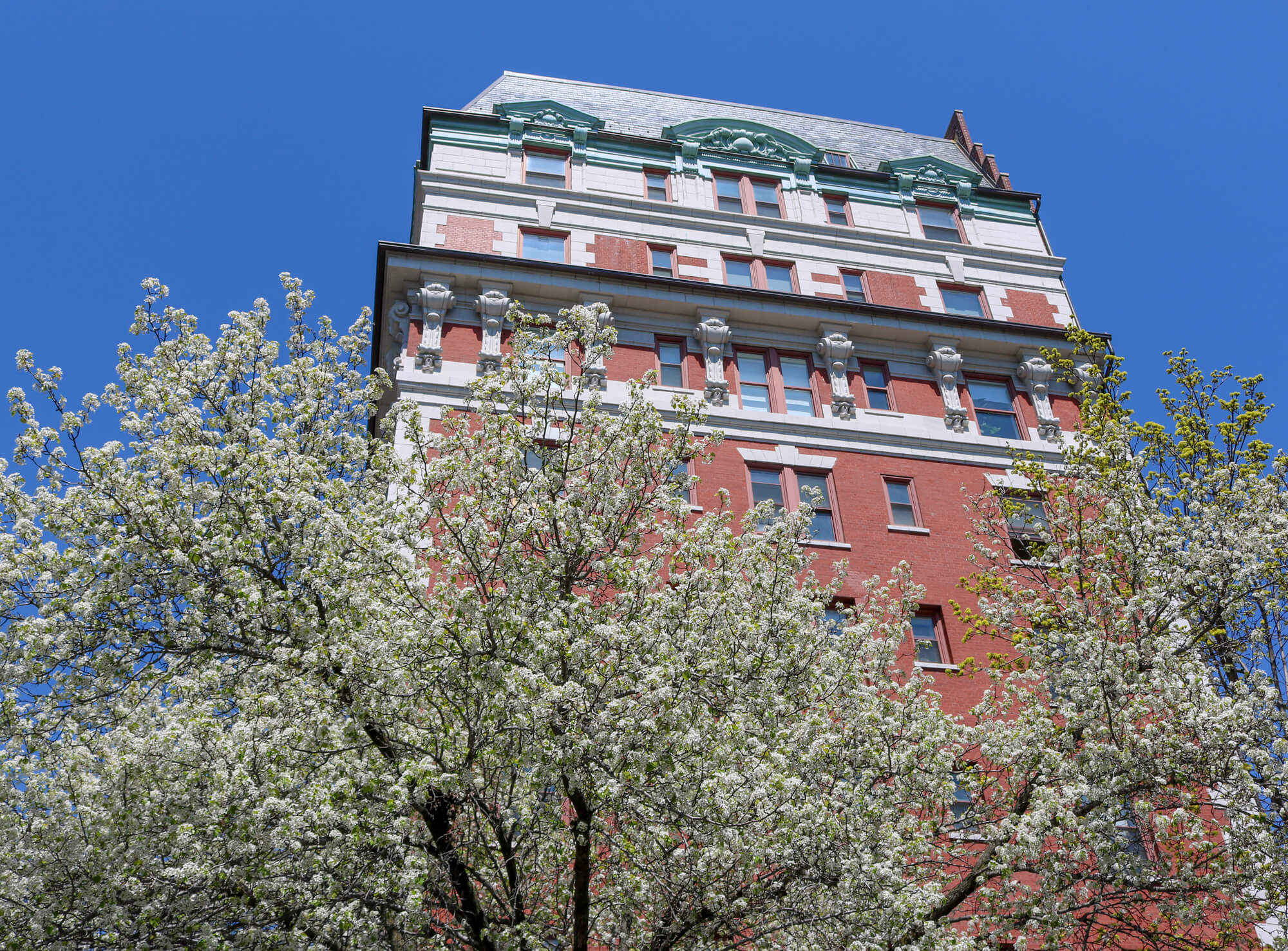 brooklyn heights links