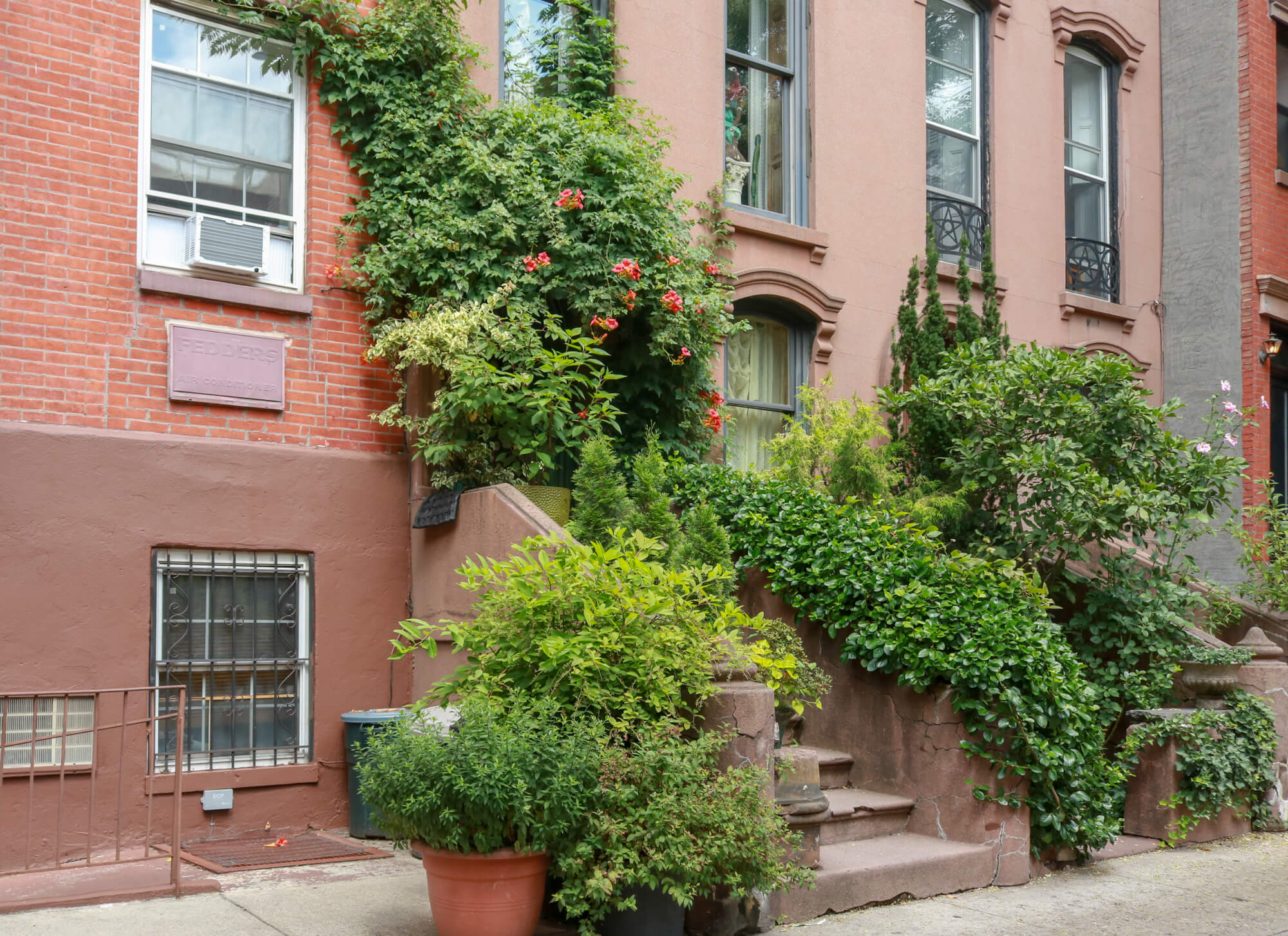 vines on houses brownstone facade