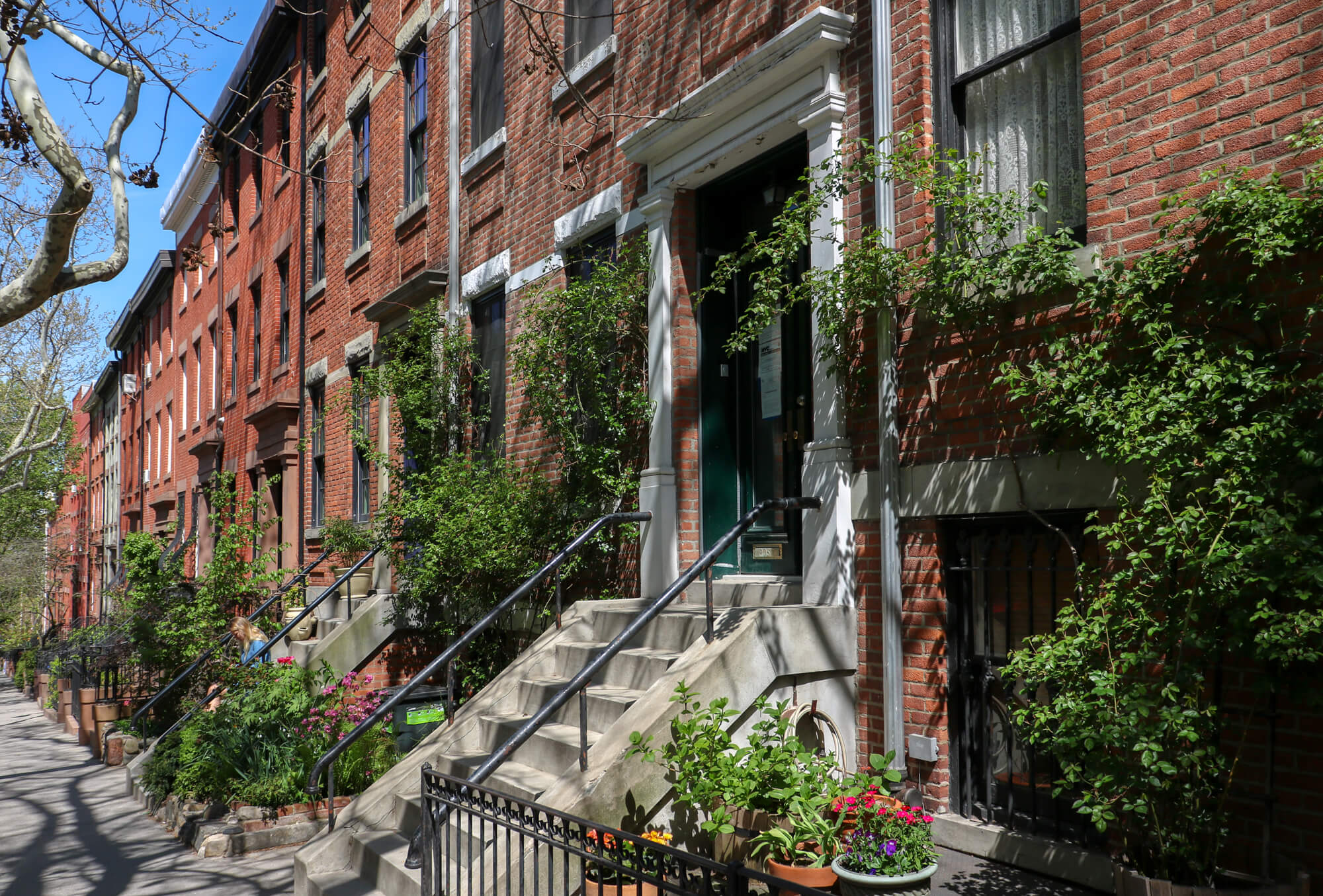 brooklyn heights joralemon street