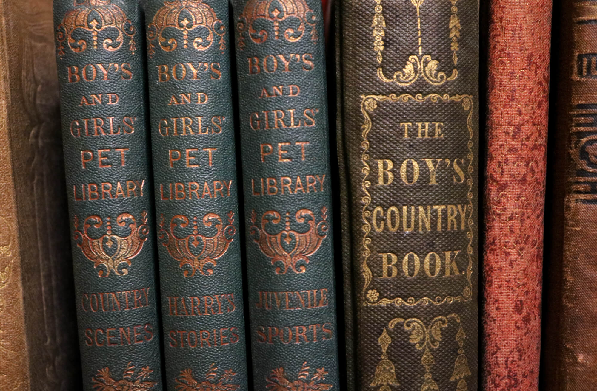 clara whitehall hunt brooklyn public library