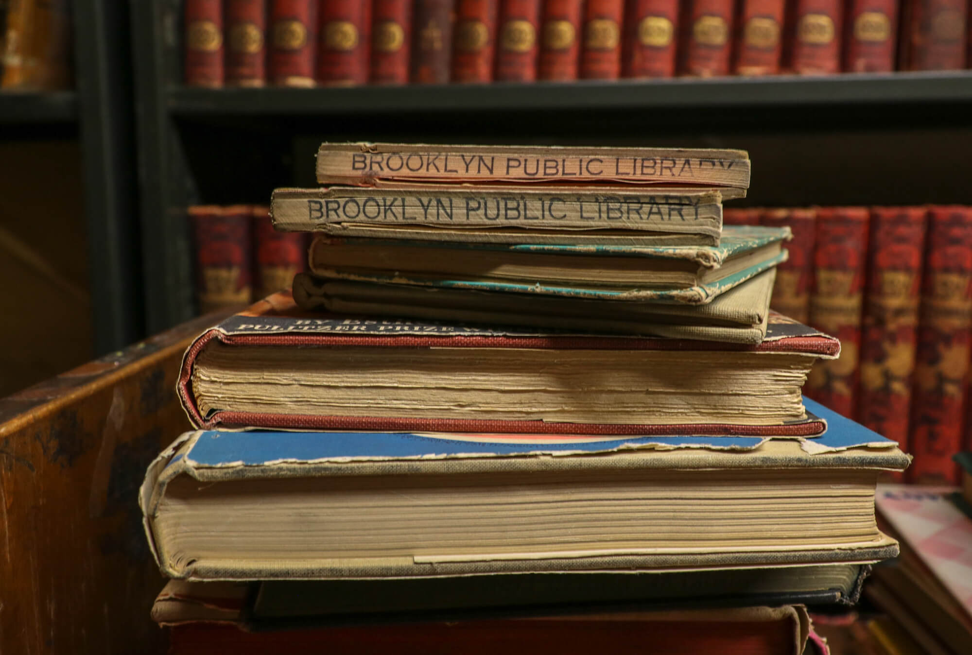 clara whitehill hunt brooklyn public library