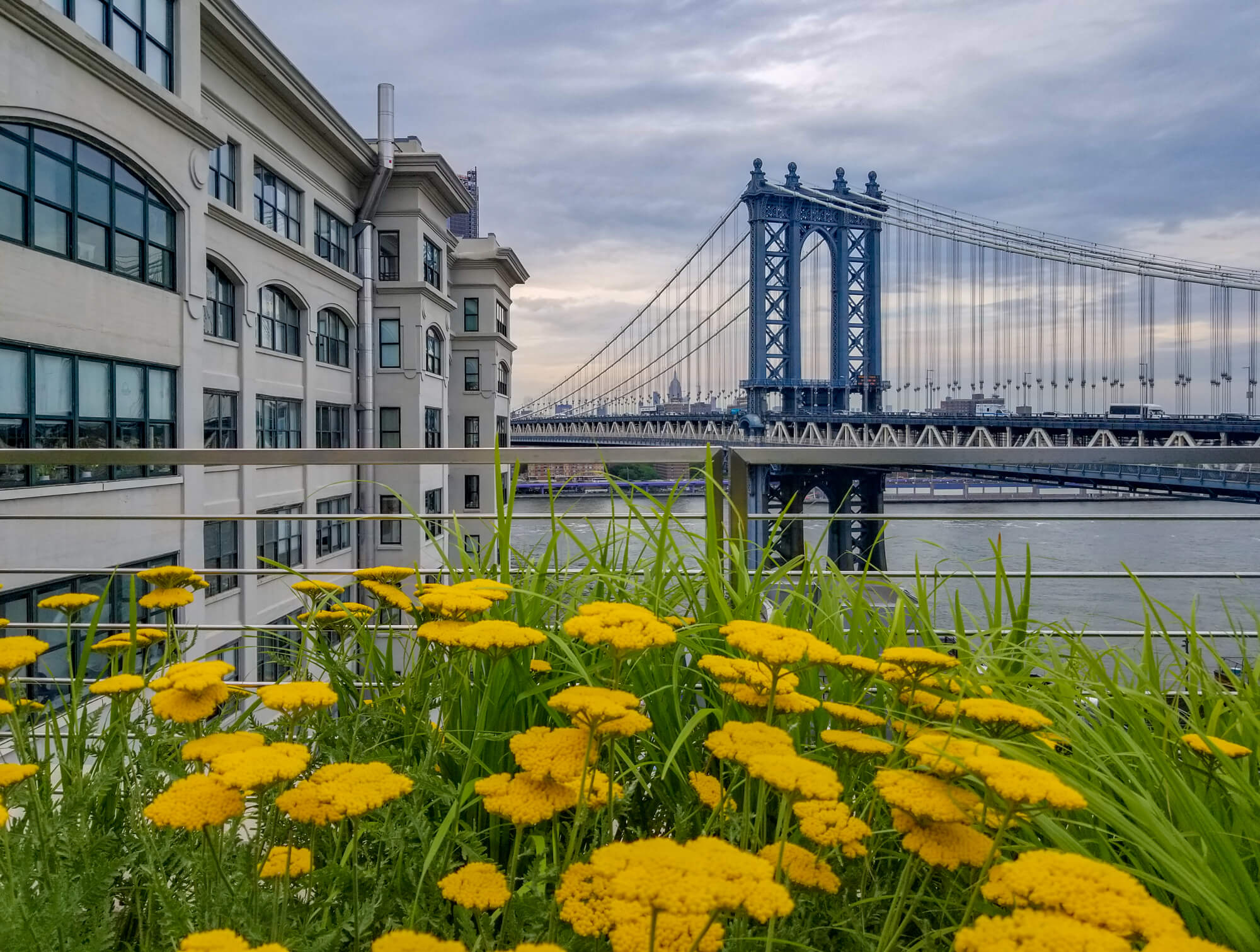 dumbo 45 main street brooklyn