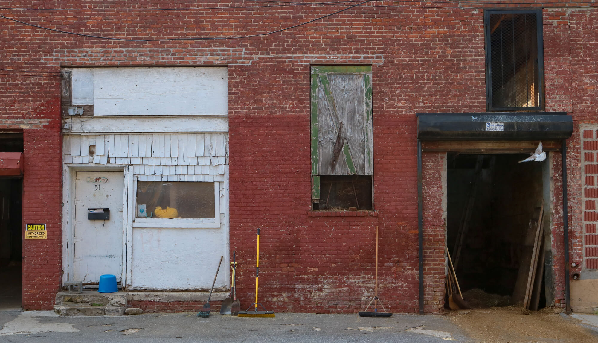 kensington stables brooklyn