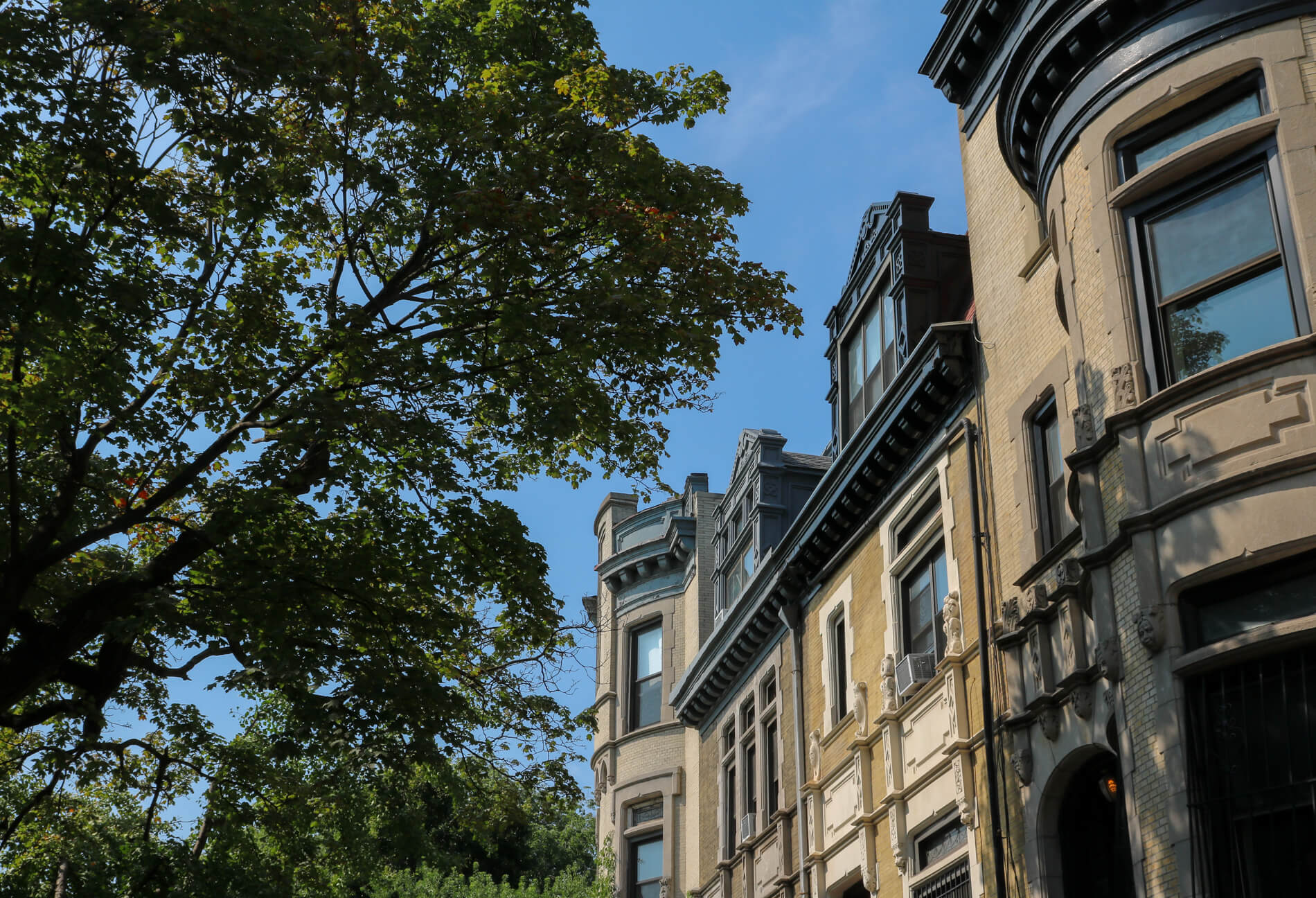 crown heights new york avenue