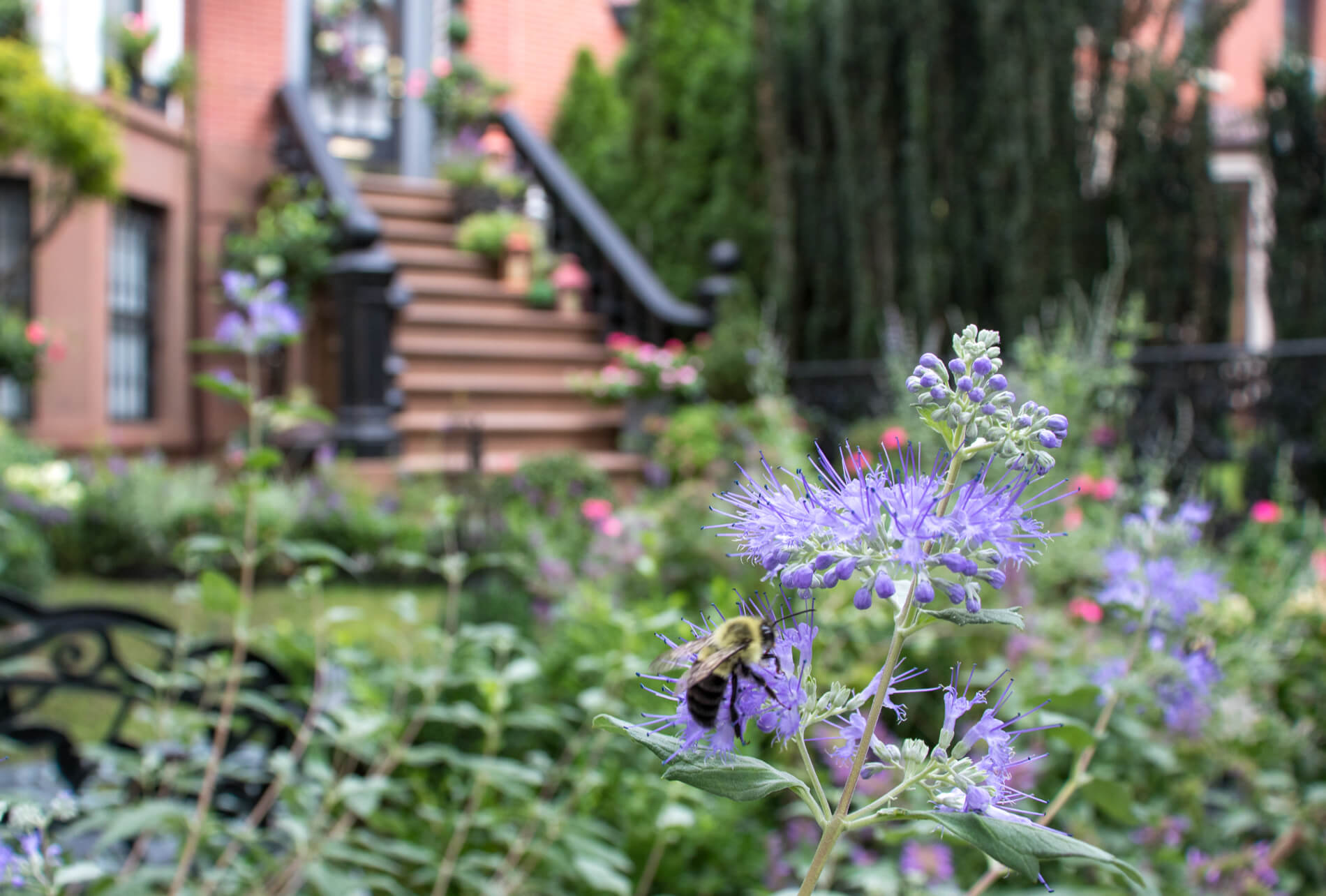 greenpoint milton street