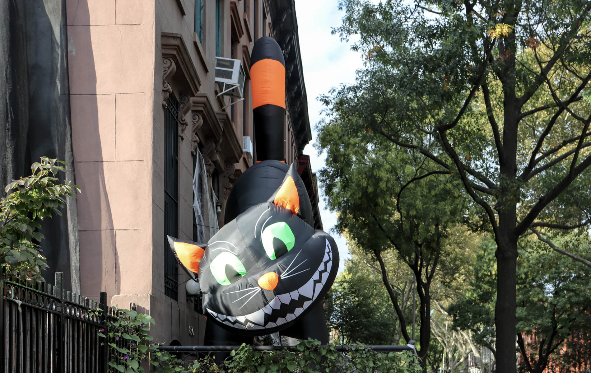 brooklyn fort greene