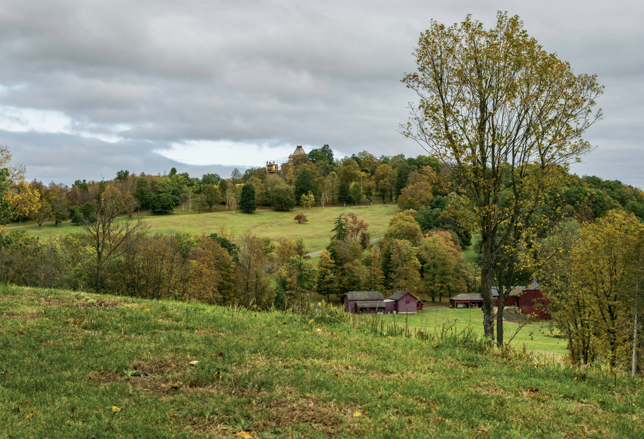 olana