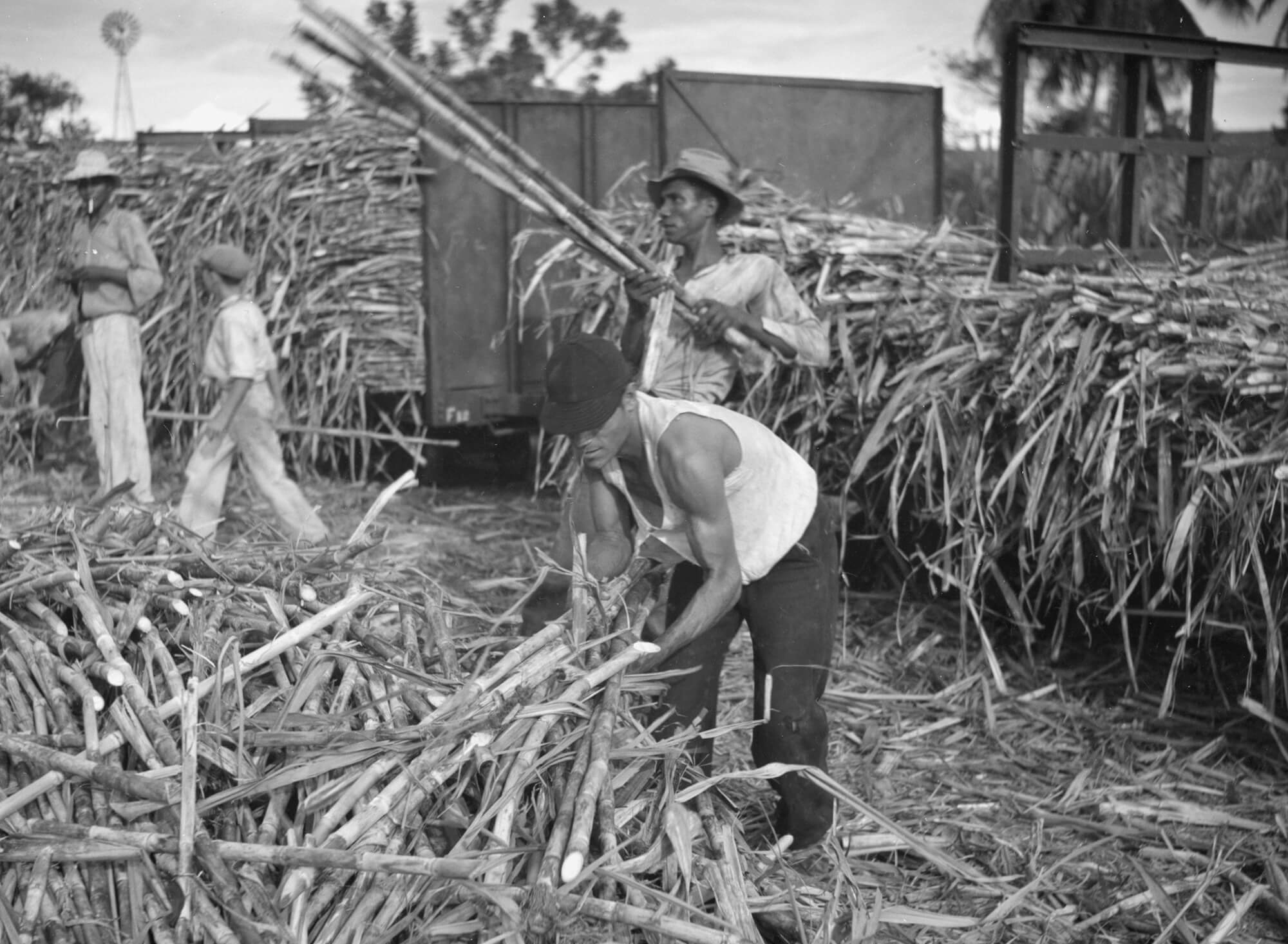 brooklyn sugar history