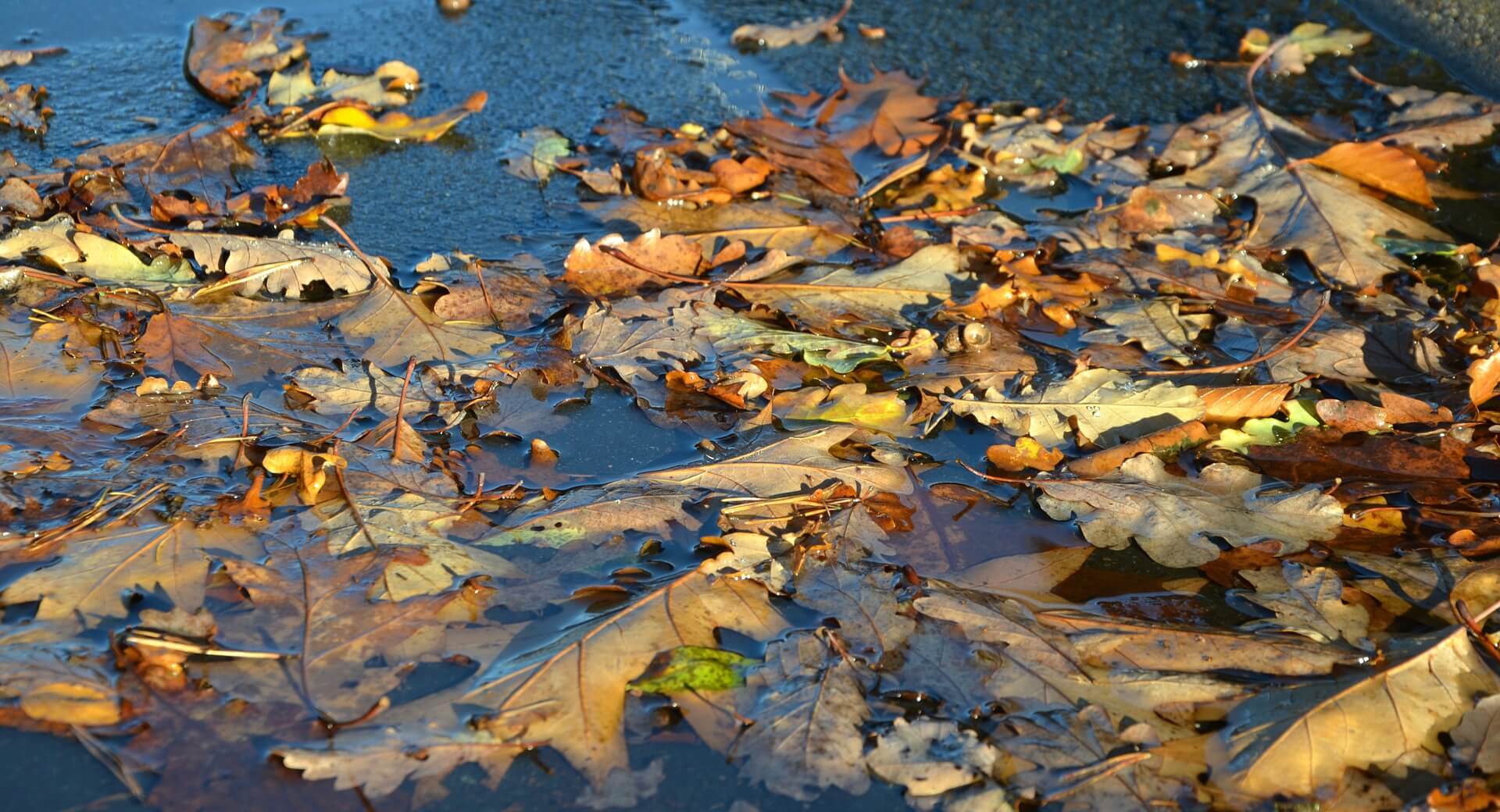 dry well flooded