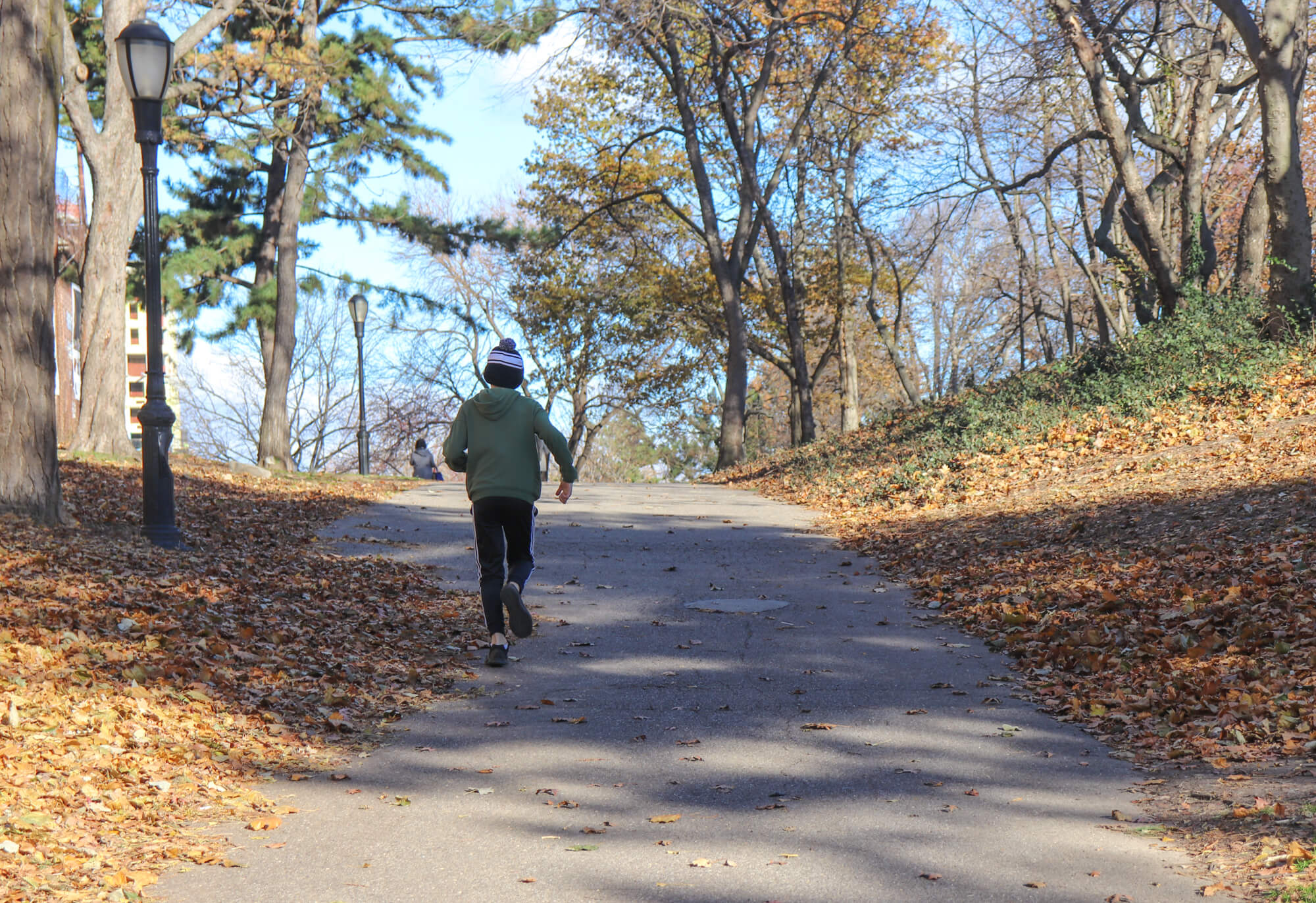 fort greene park