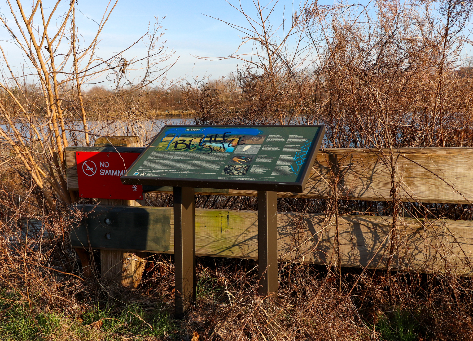 calvert vaux park