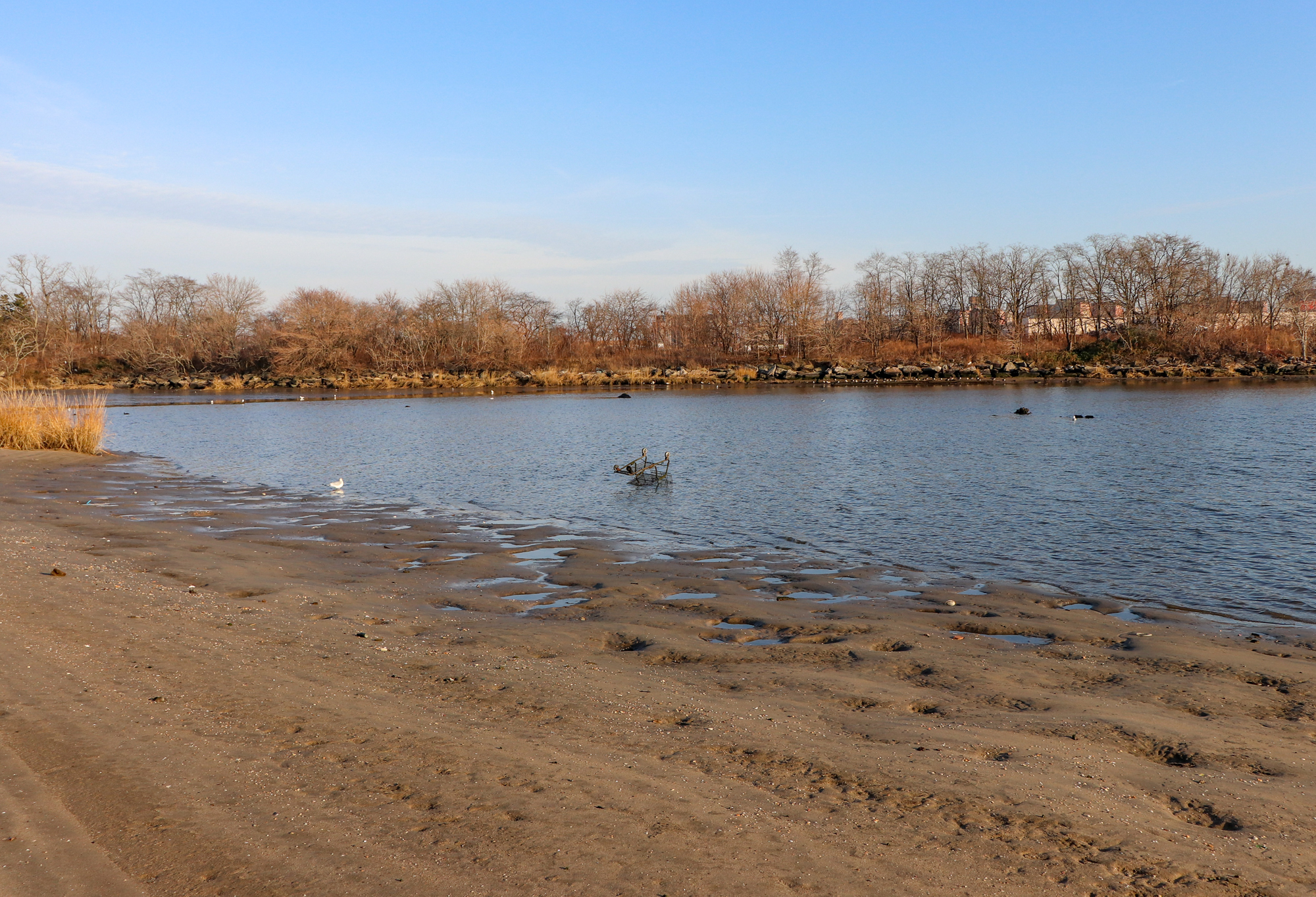 calvert vaux park