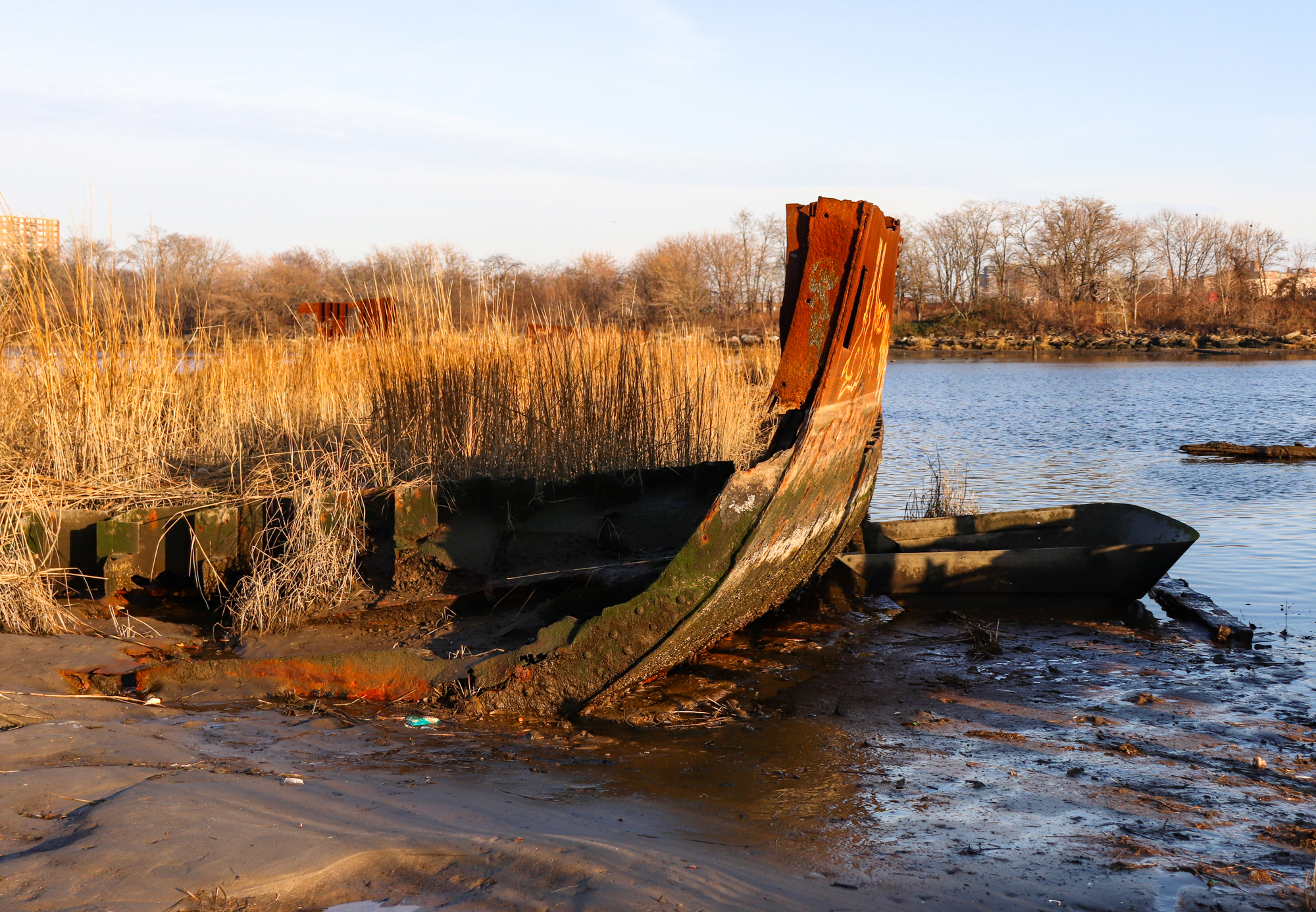 calvert vaux park