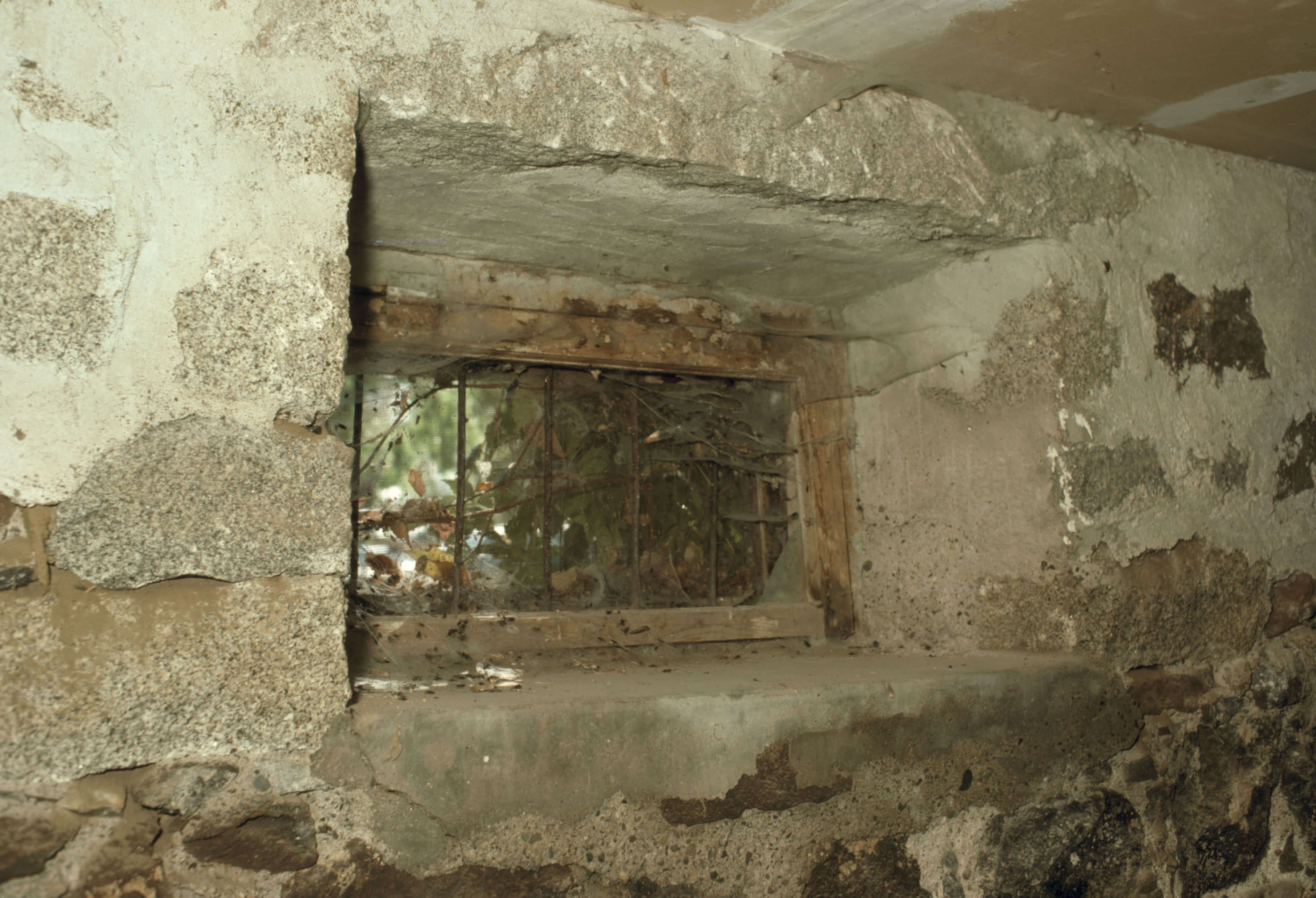 window well
