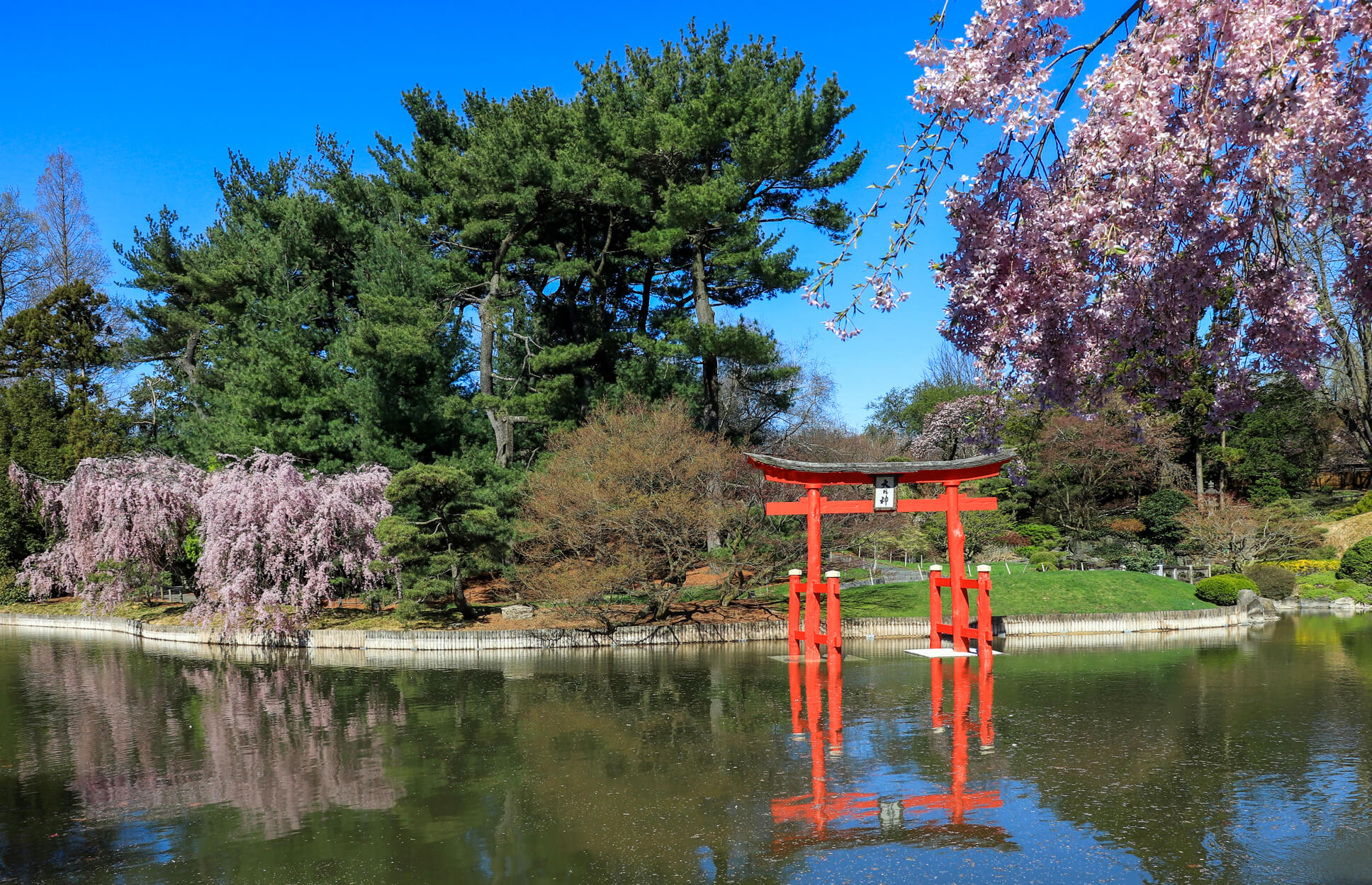 brooklyn botanic