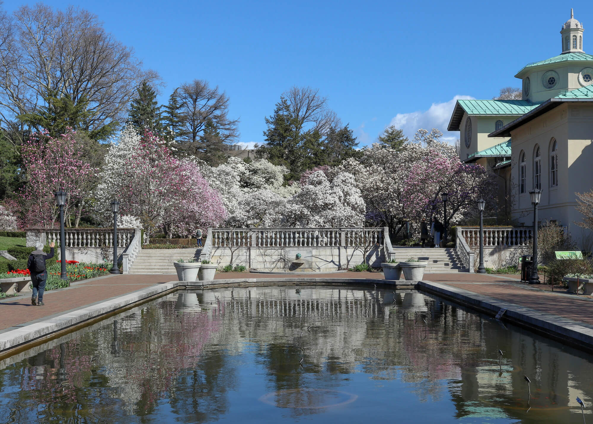 brooklyn botanic garden