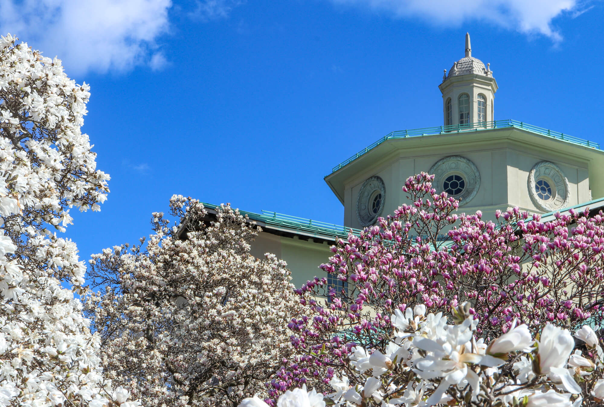 brooklyn botanic garden