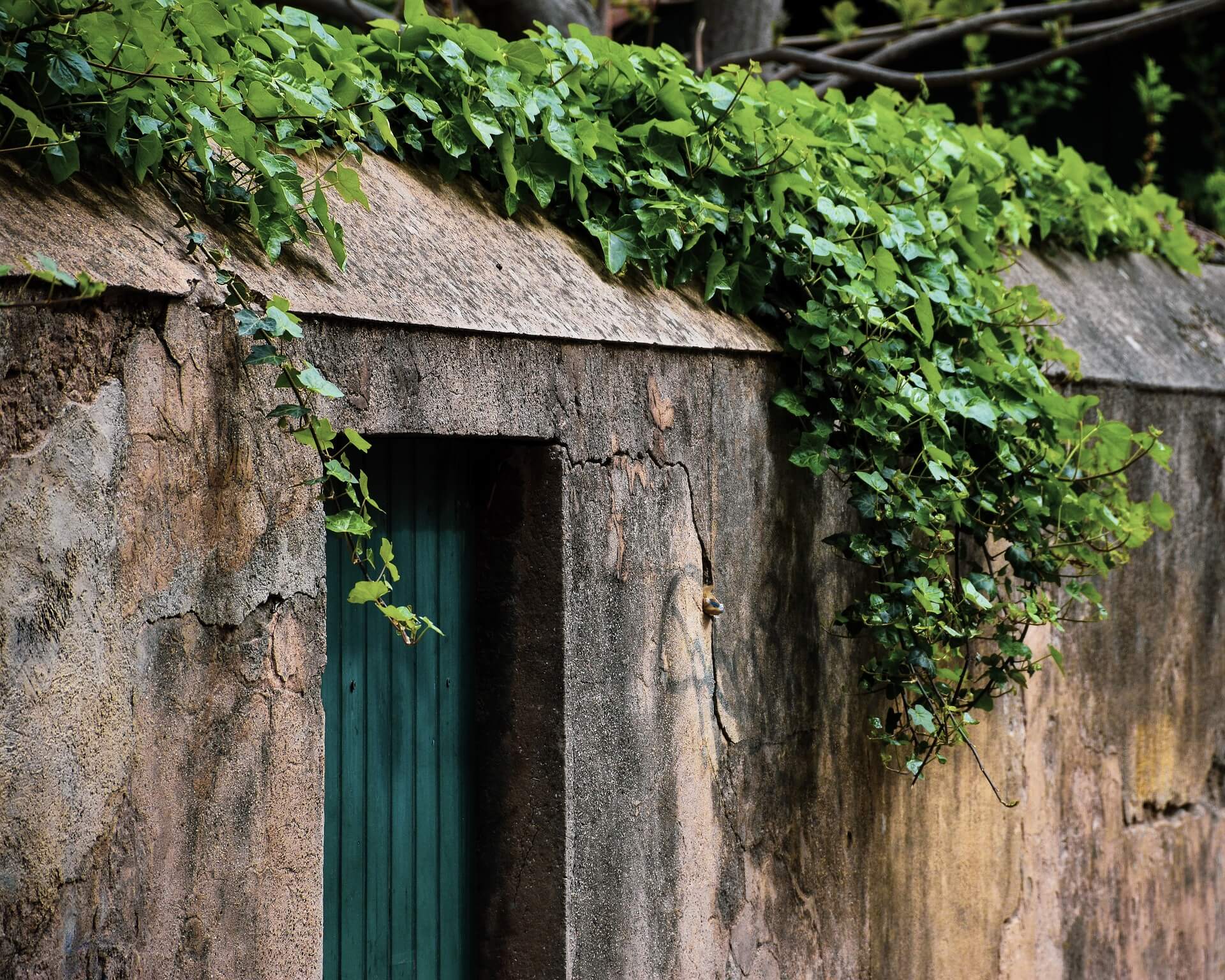 garden wall cover