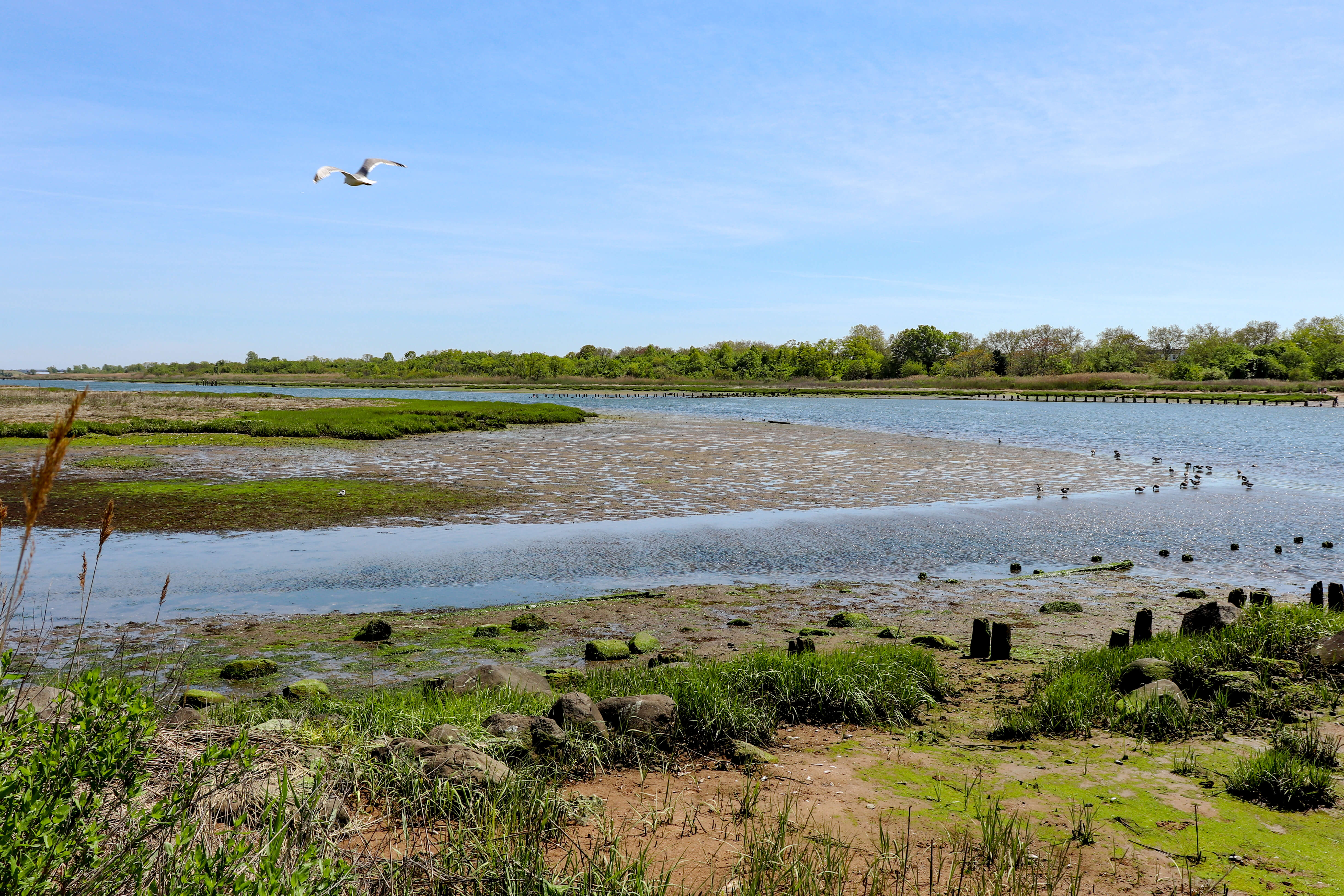 marine park