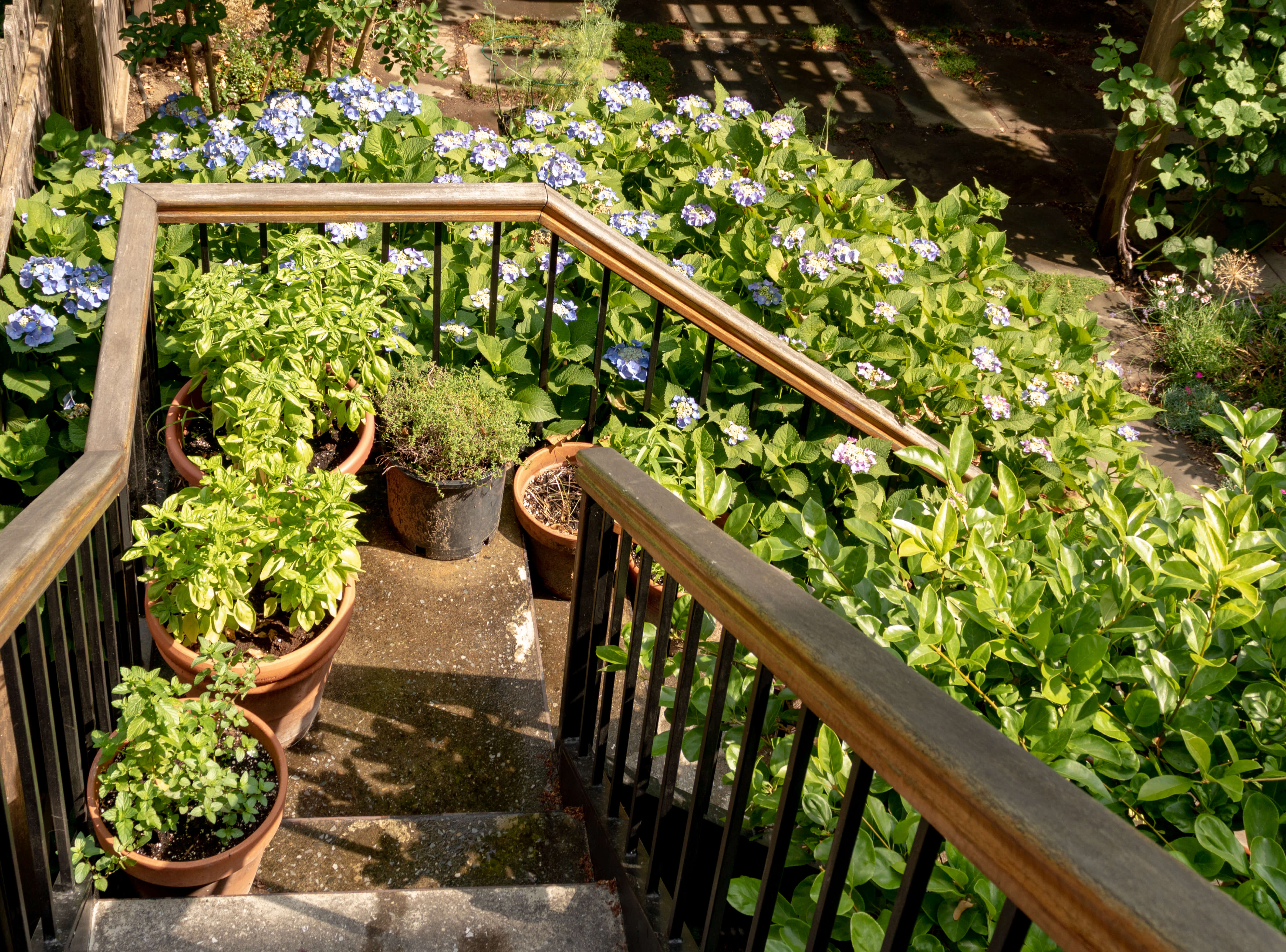 stairs