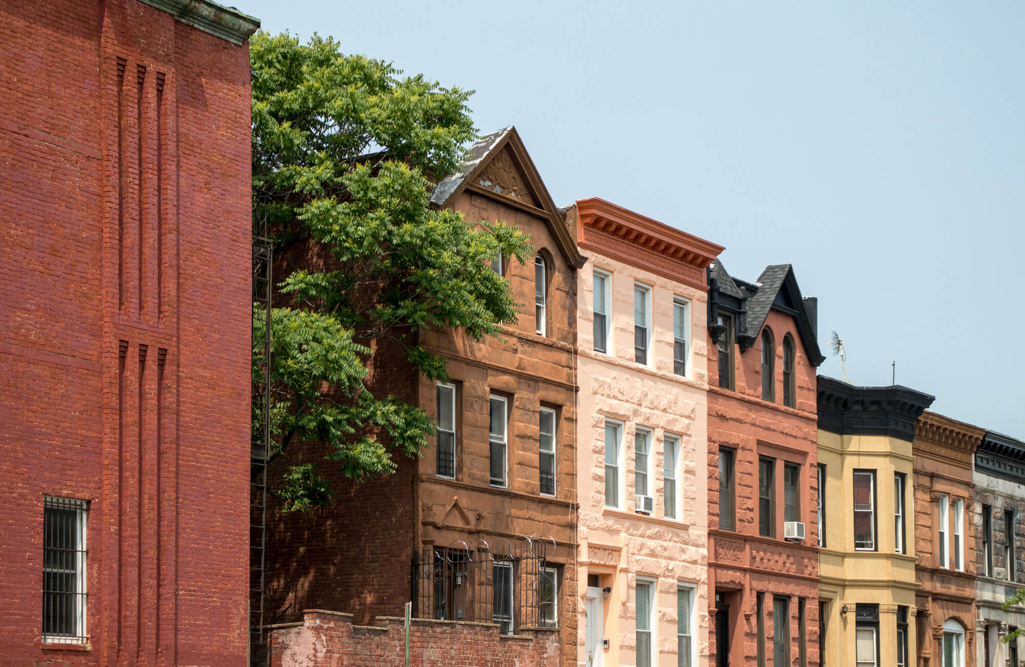 bed stuy
