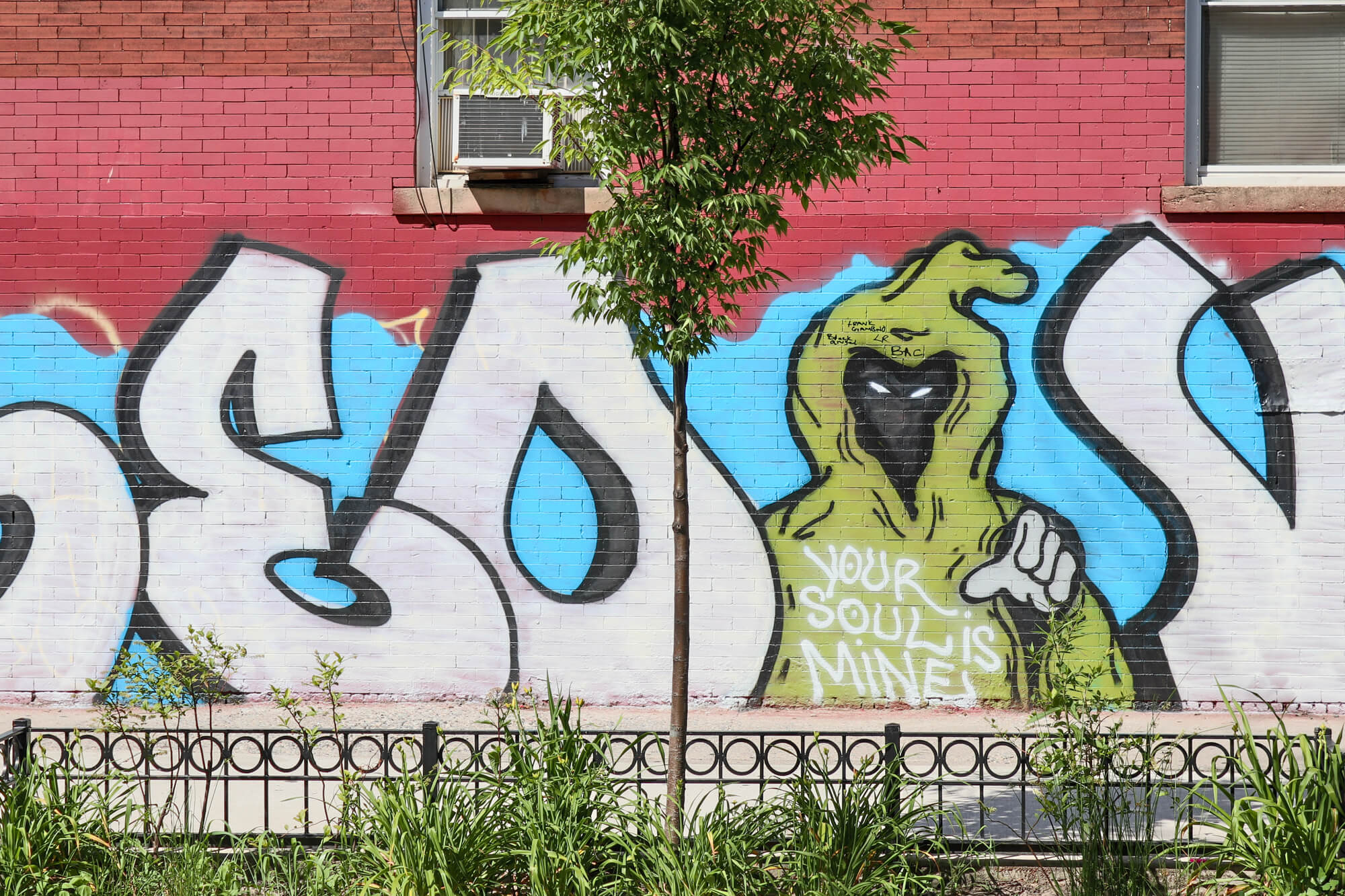 bushwick brooklyn