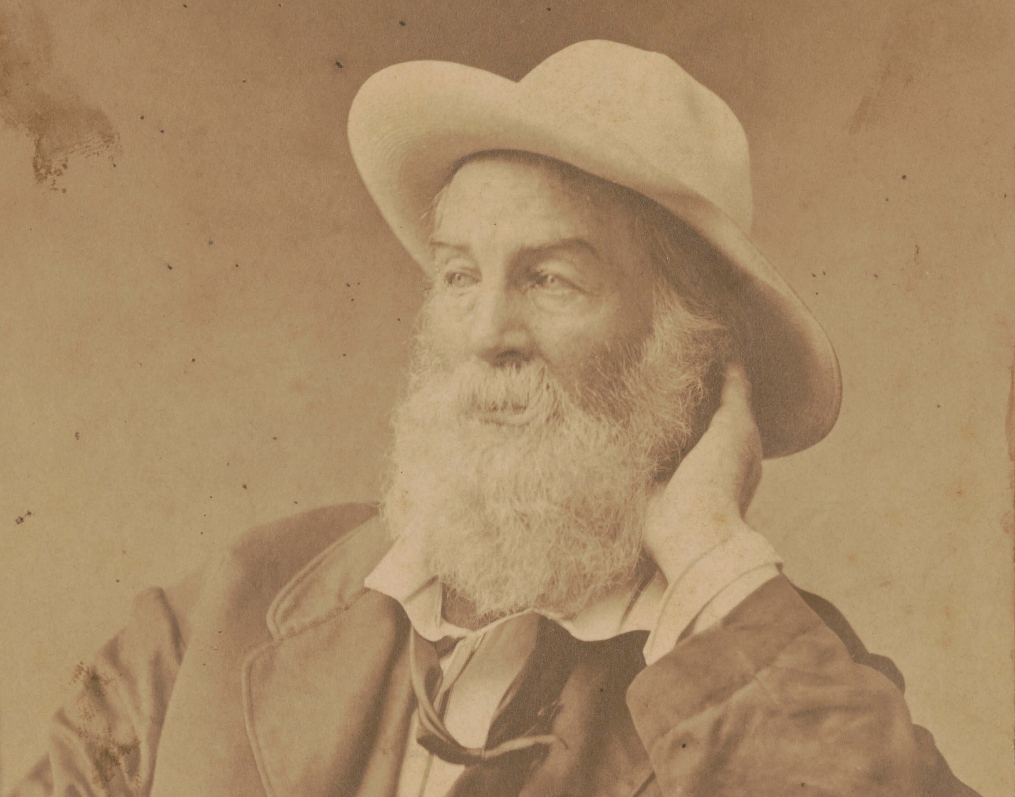 walt whitman