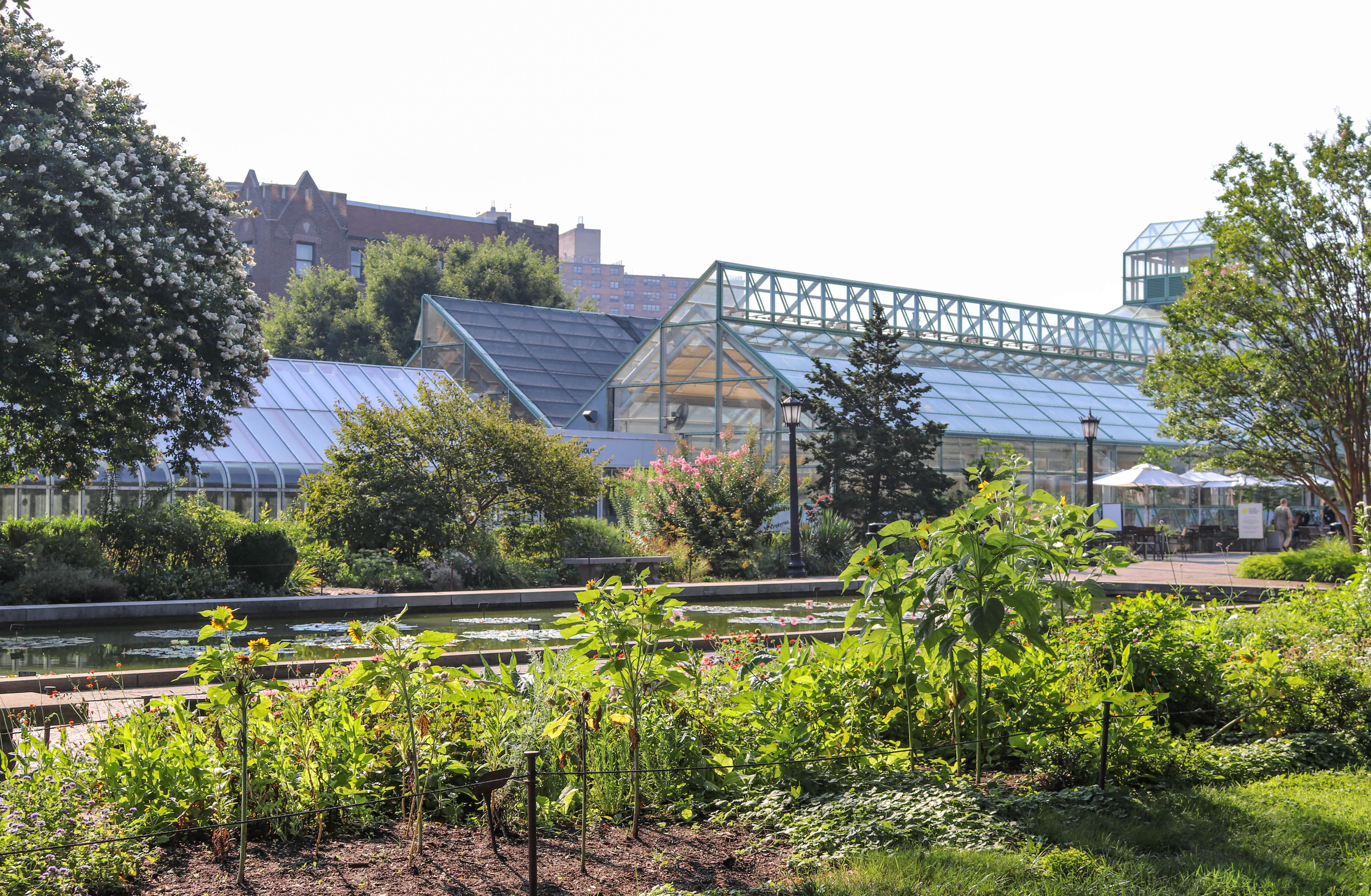 Brooklyn Botanic Garden Threatened By Development Brownstoner