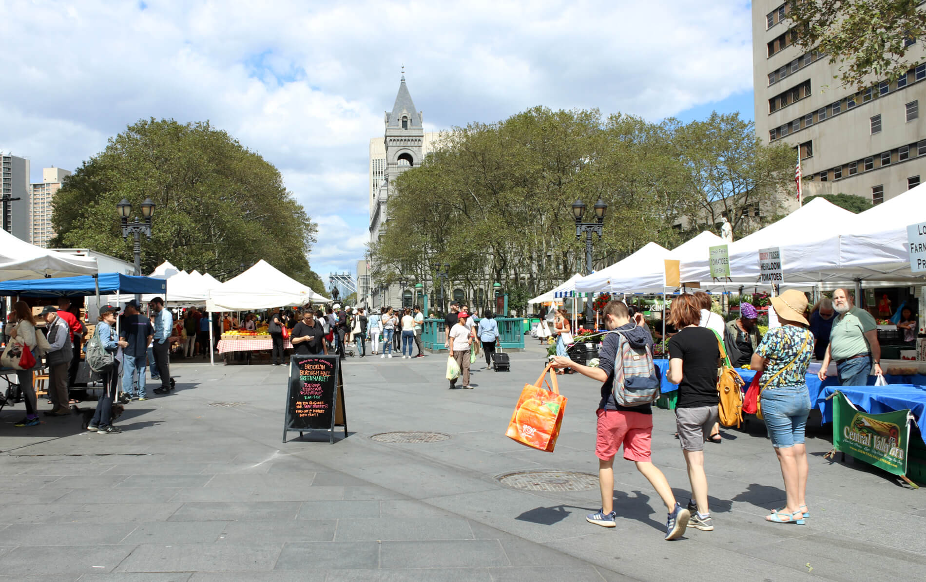 downtown brooklyn green market