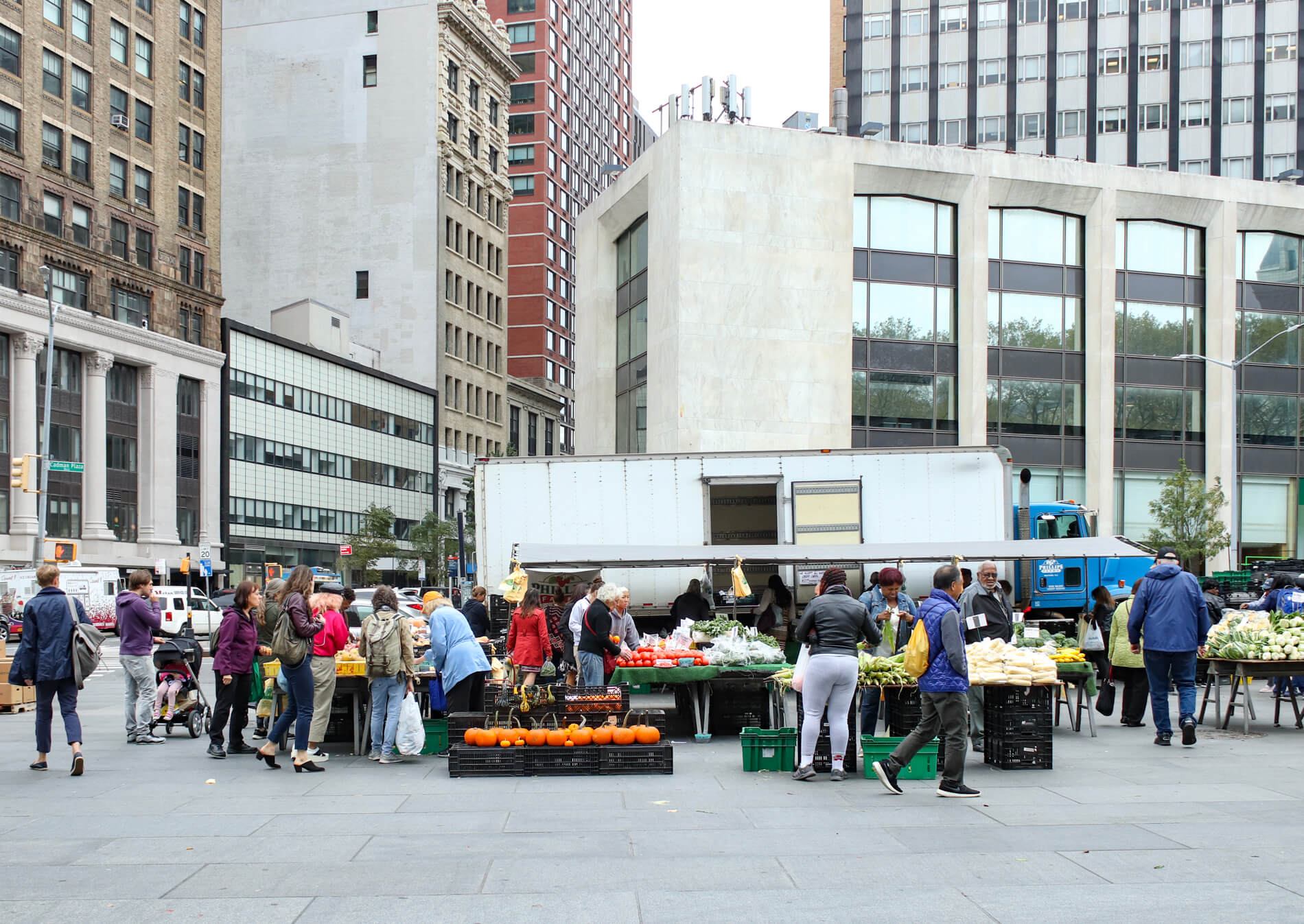 downtown brooklyn