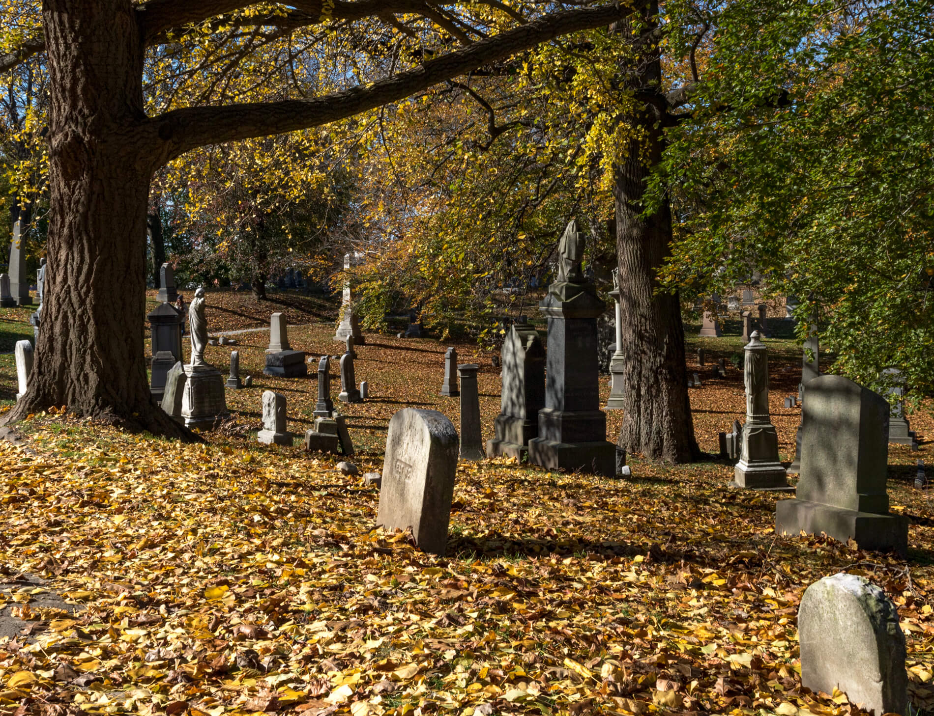 green-wood cemetery