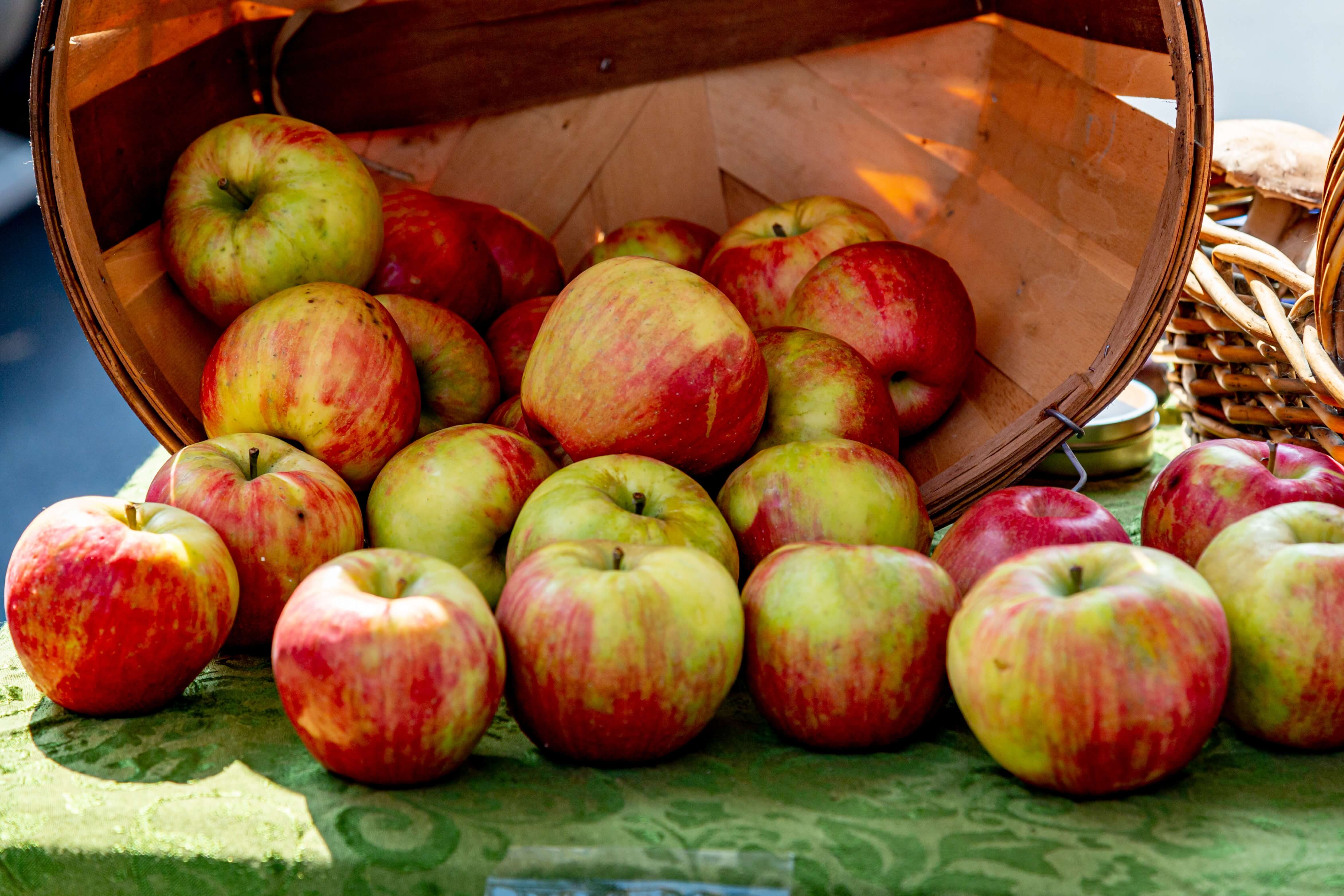 harvest festival