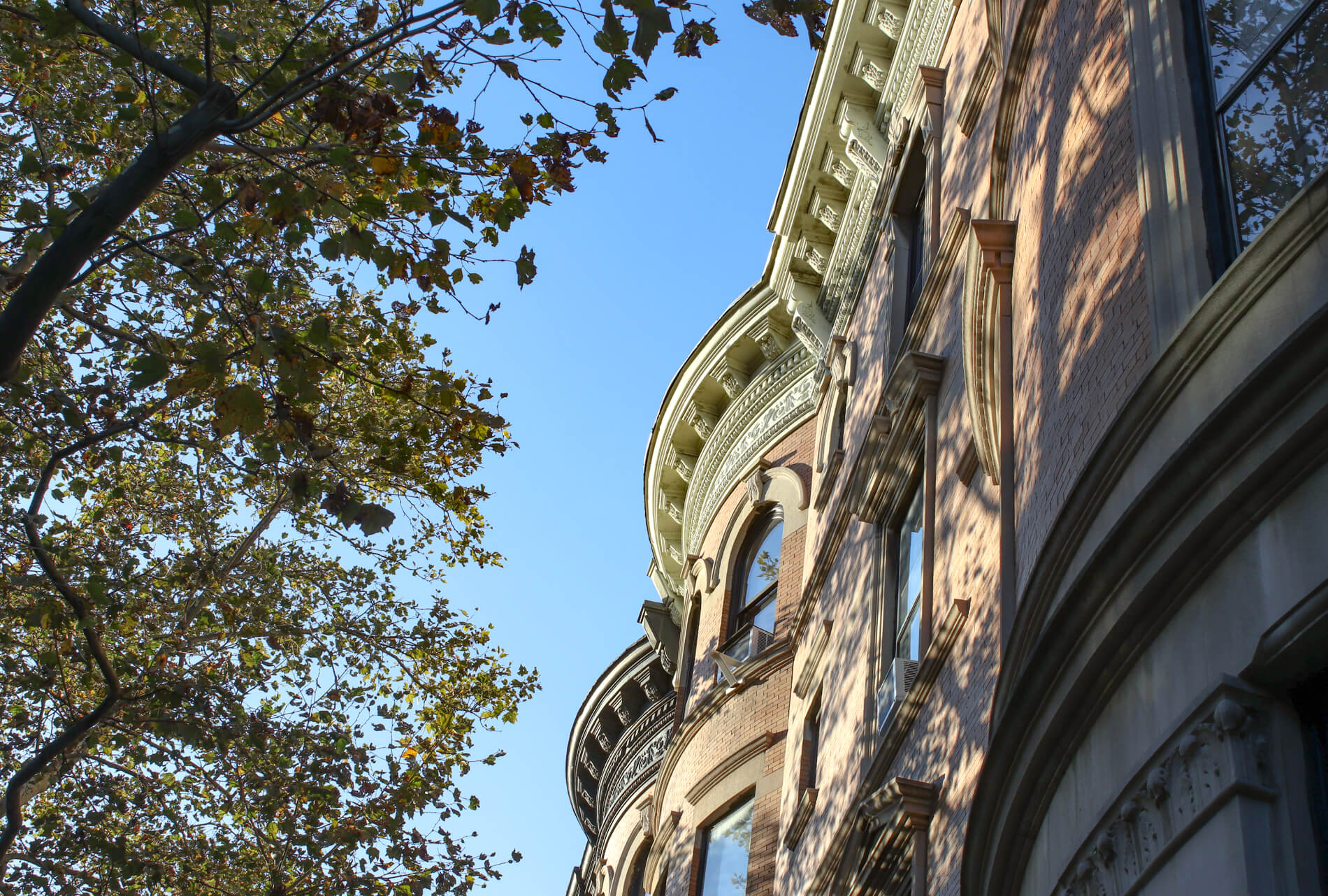 brooklyn park slope