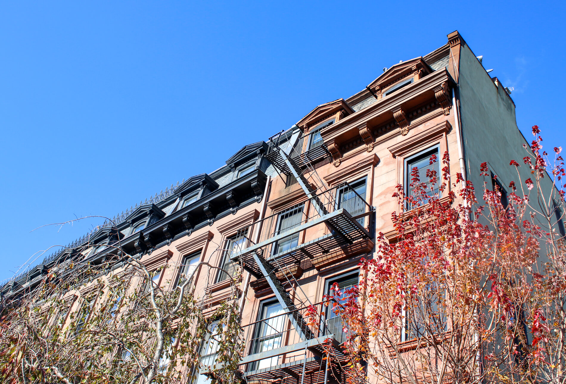 prospect heights brooklyn