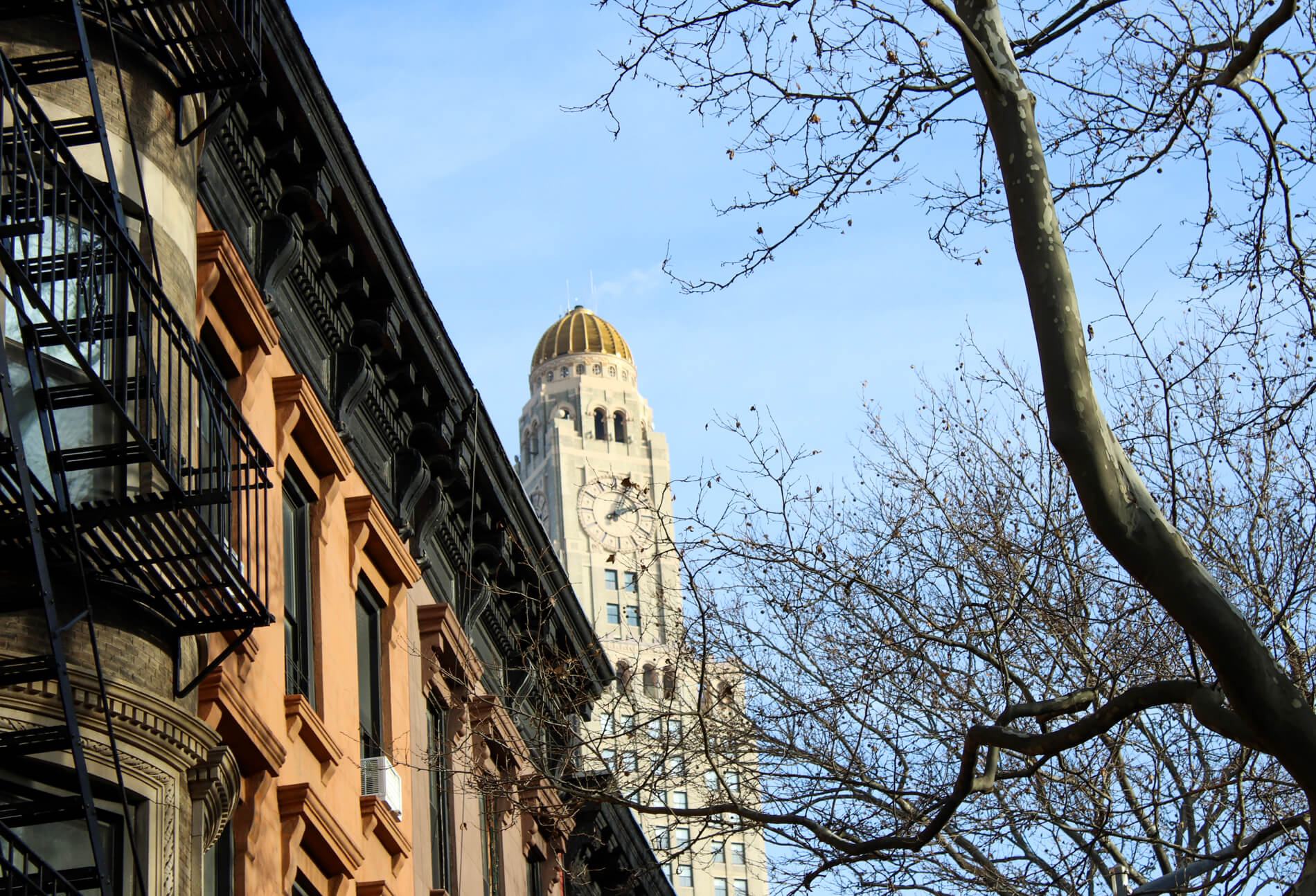 boerum hill